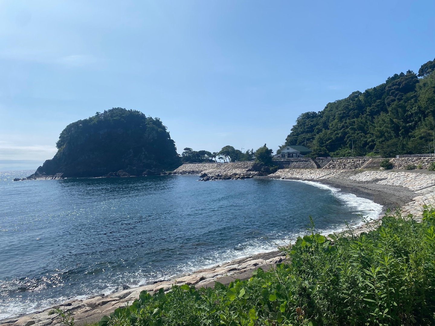 IMG_3786.jpeg