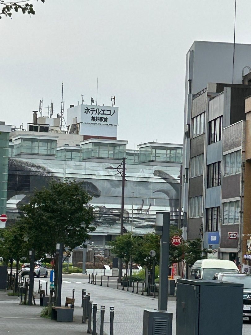 IMG_7310.jpeg