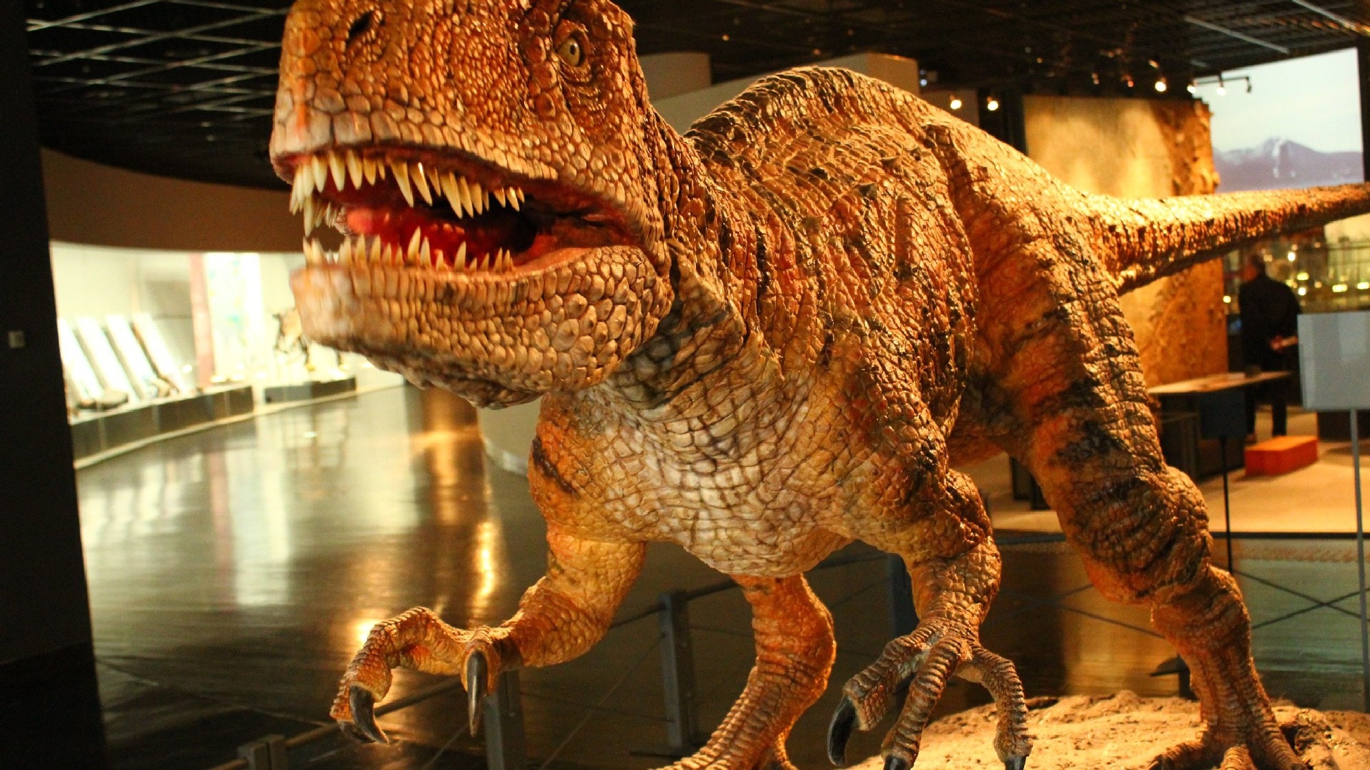 The Fukui Prefectural Dinosaur Museum is a popular tourist spot for both children and adults. It is about 5 minutes by car.