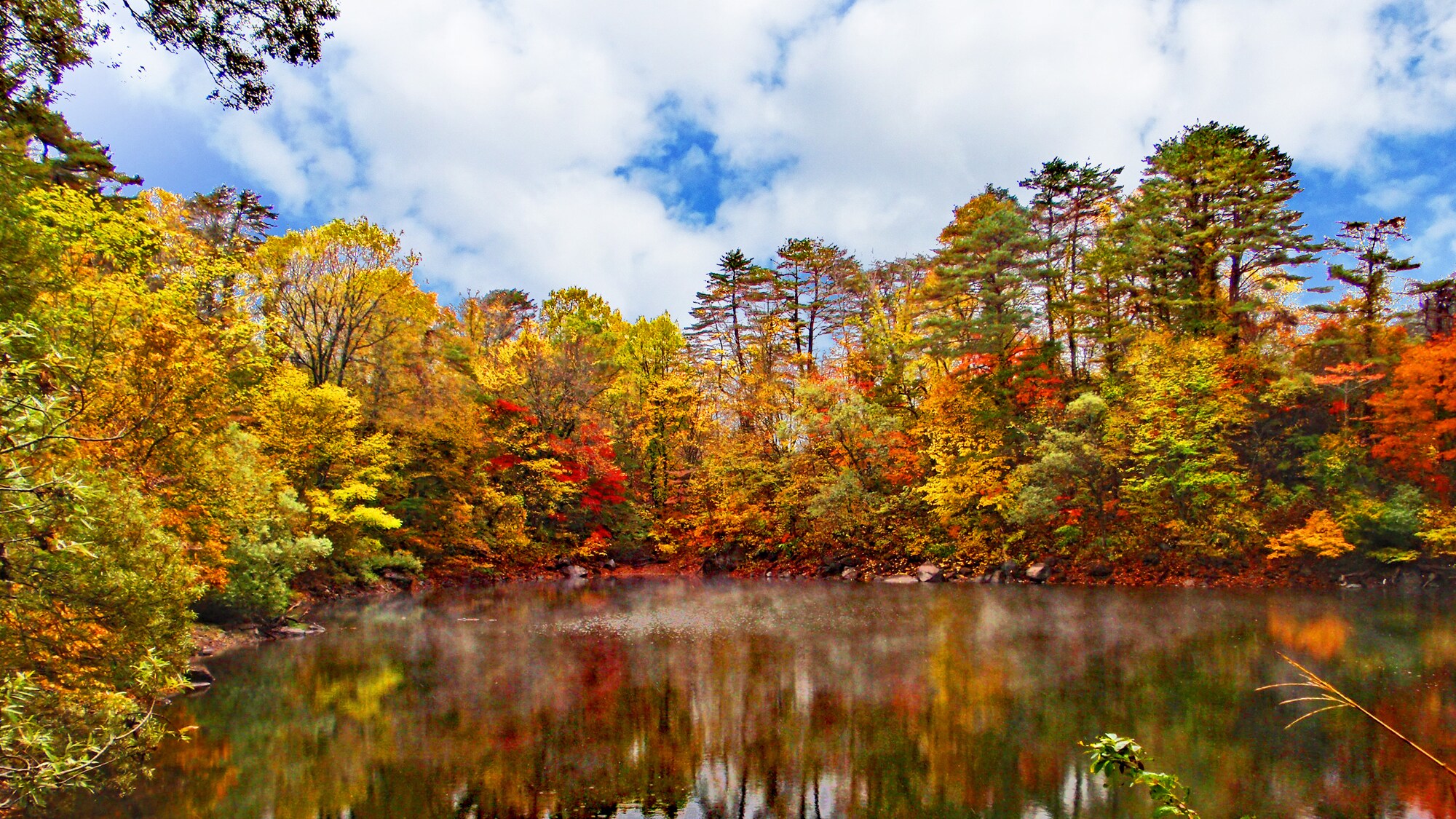Urabandai - Autumn