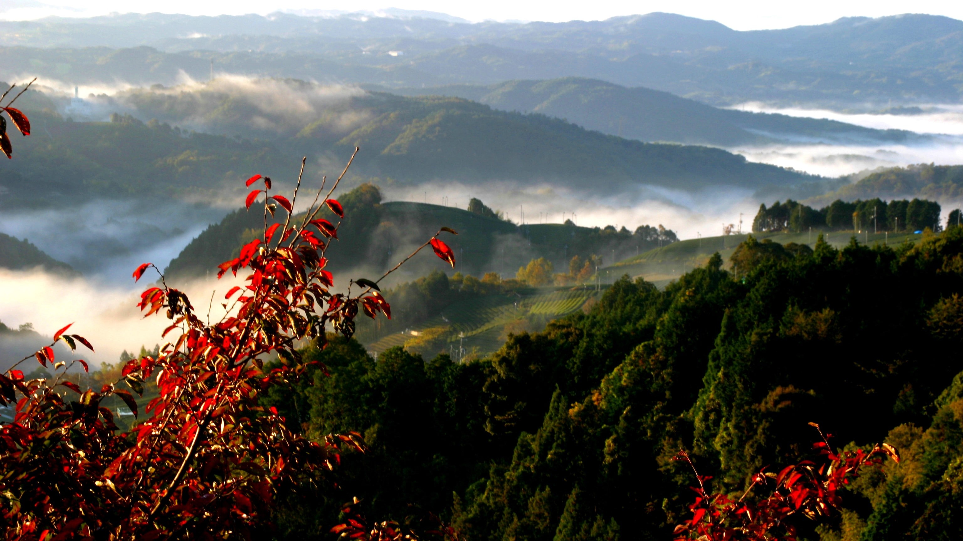 Wazuka scenery autumn
