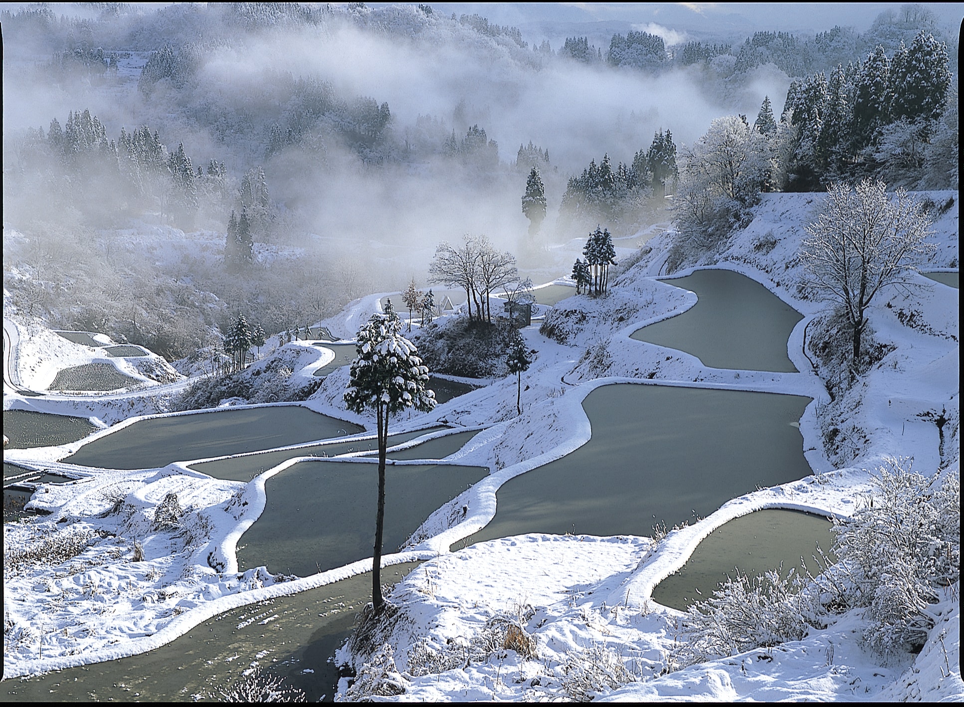 Rice terraces in early winter