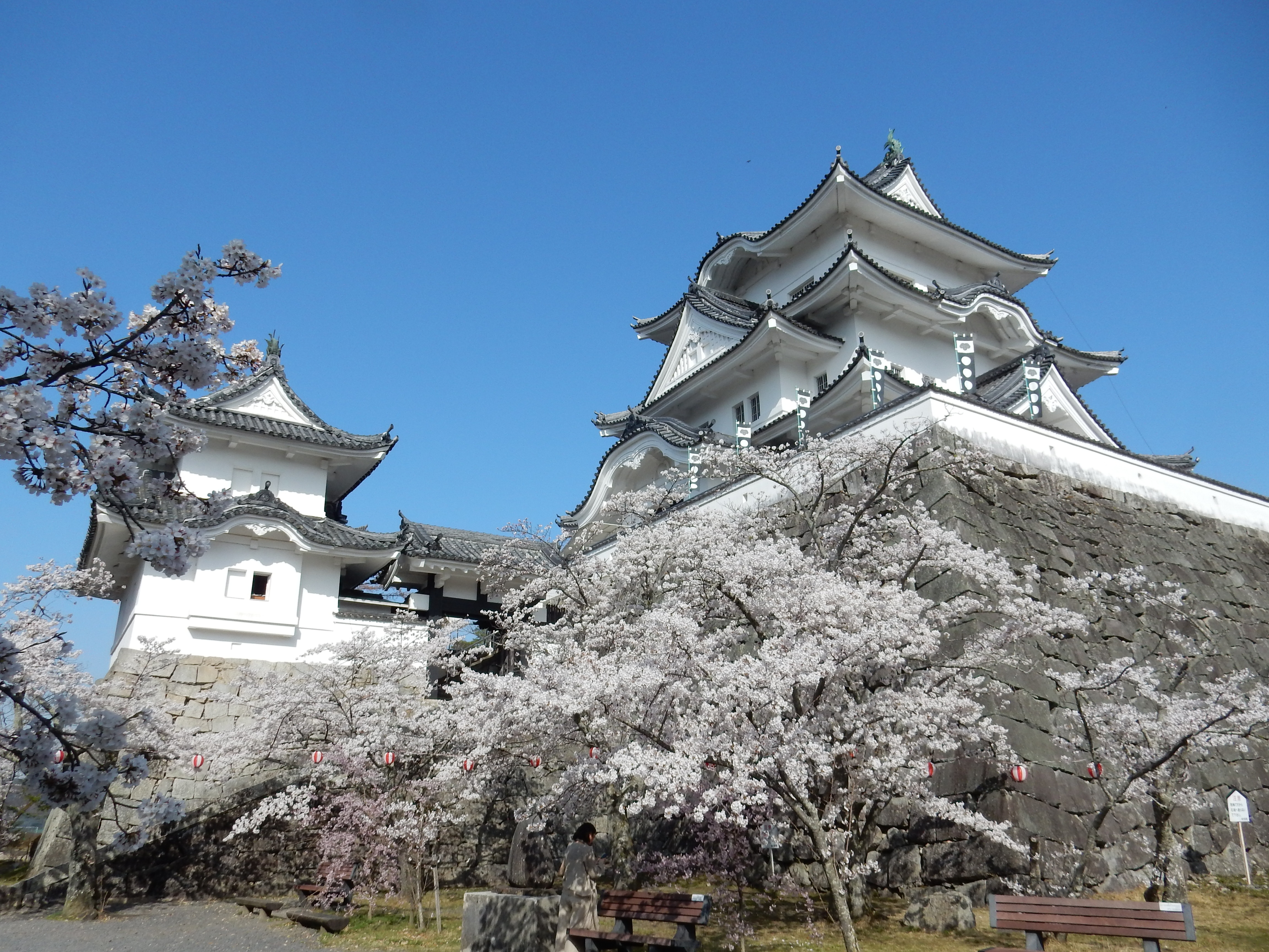 Iga Ueno Castle