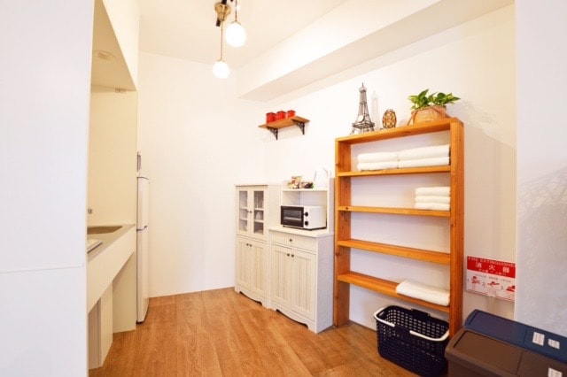 Guest room (spacious one-room apartment)