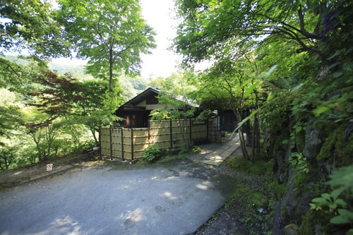 Appearance image