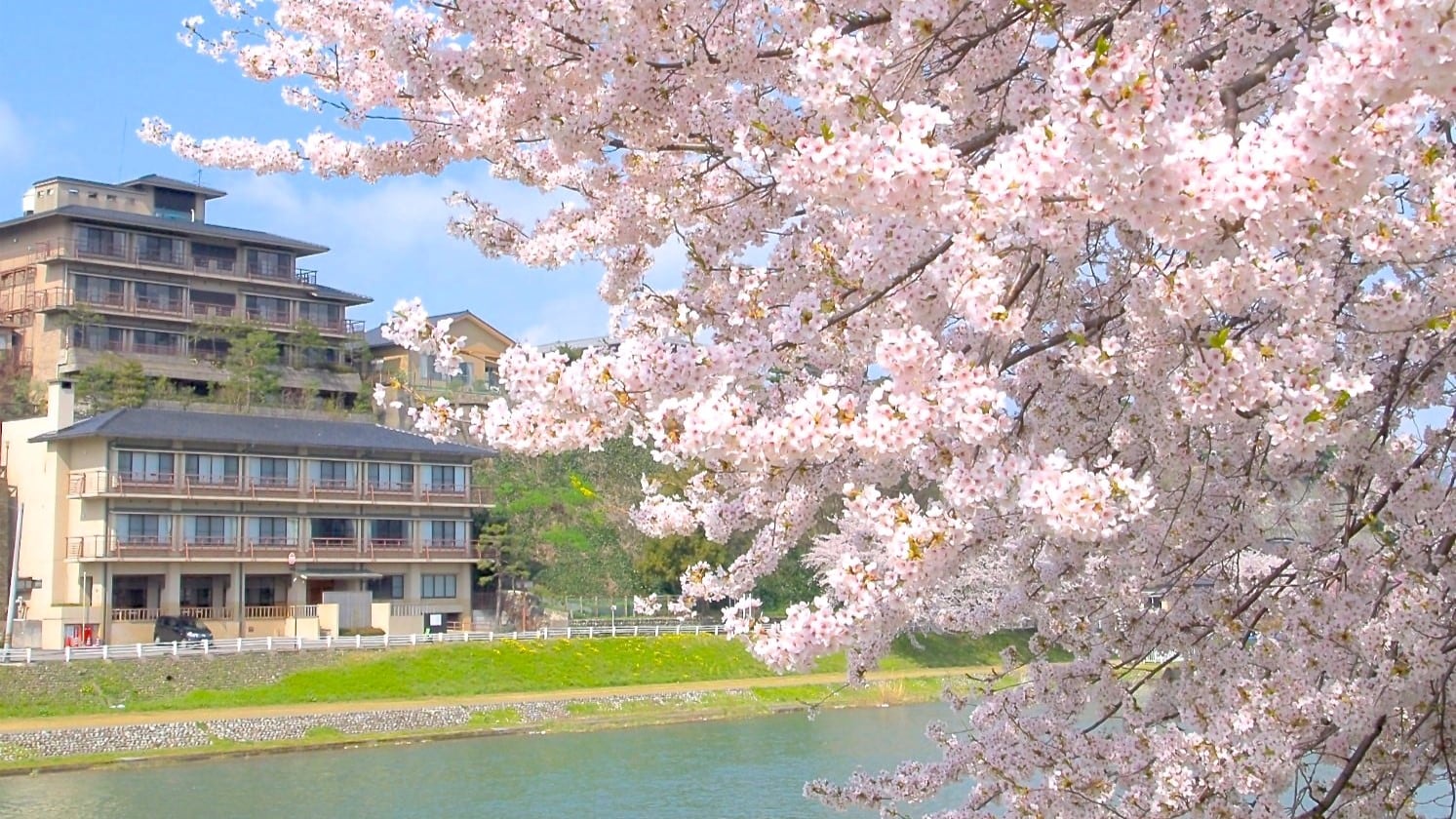 [Exterior] Spring in Kanazawa is beautiful with cherry blossoms. From the end of March to early April, you can enjoy the cherry blossoms while walking along the Sai River that flows in front of the hotel...