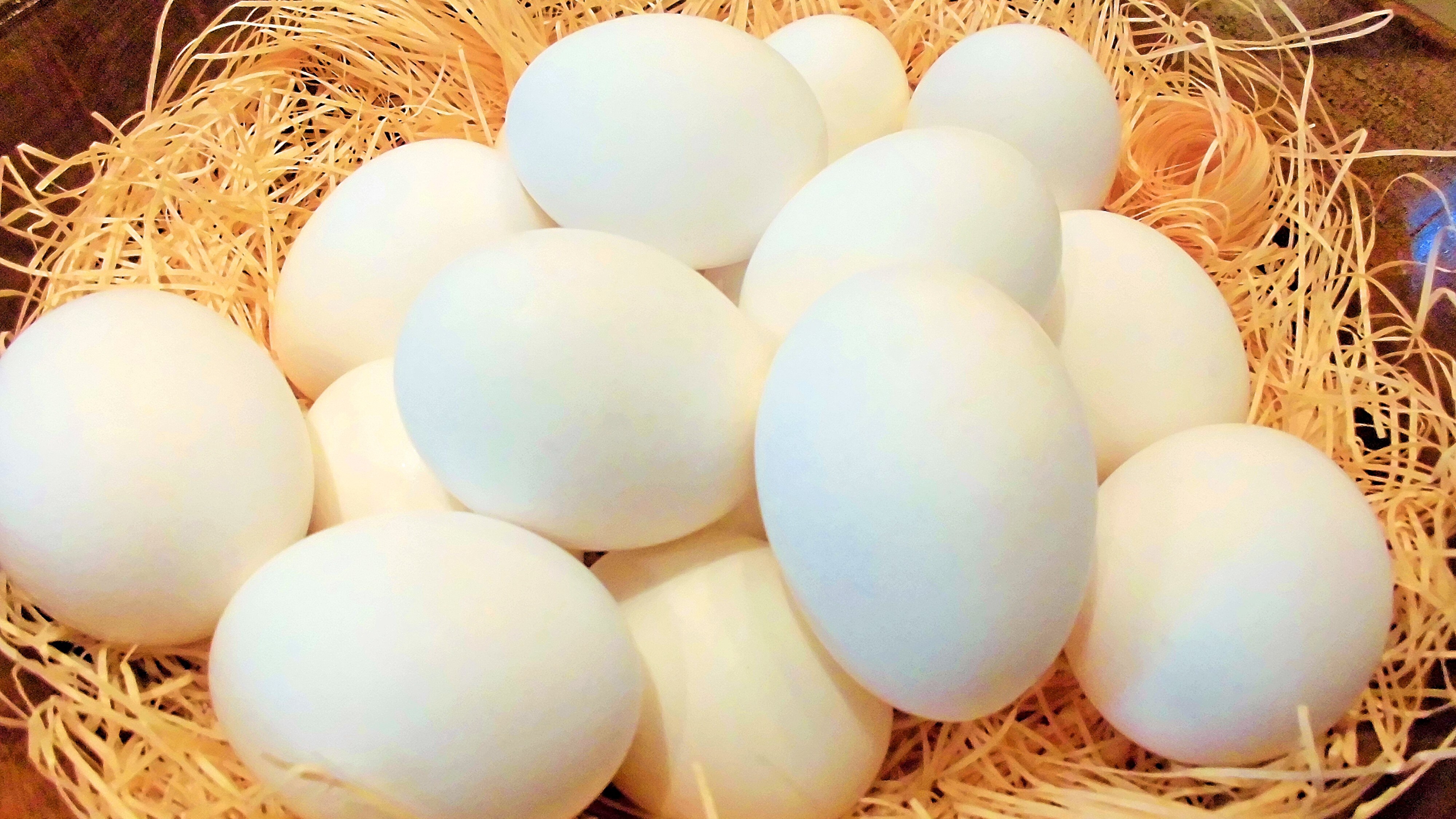 [Sarapan Prasmanan] Yokote Onsen Tamago