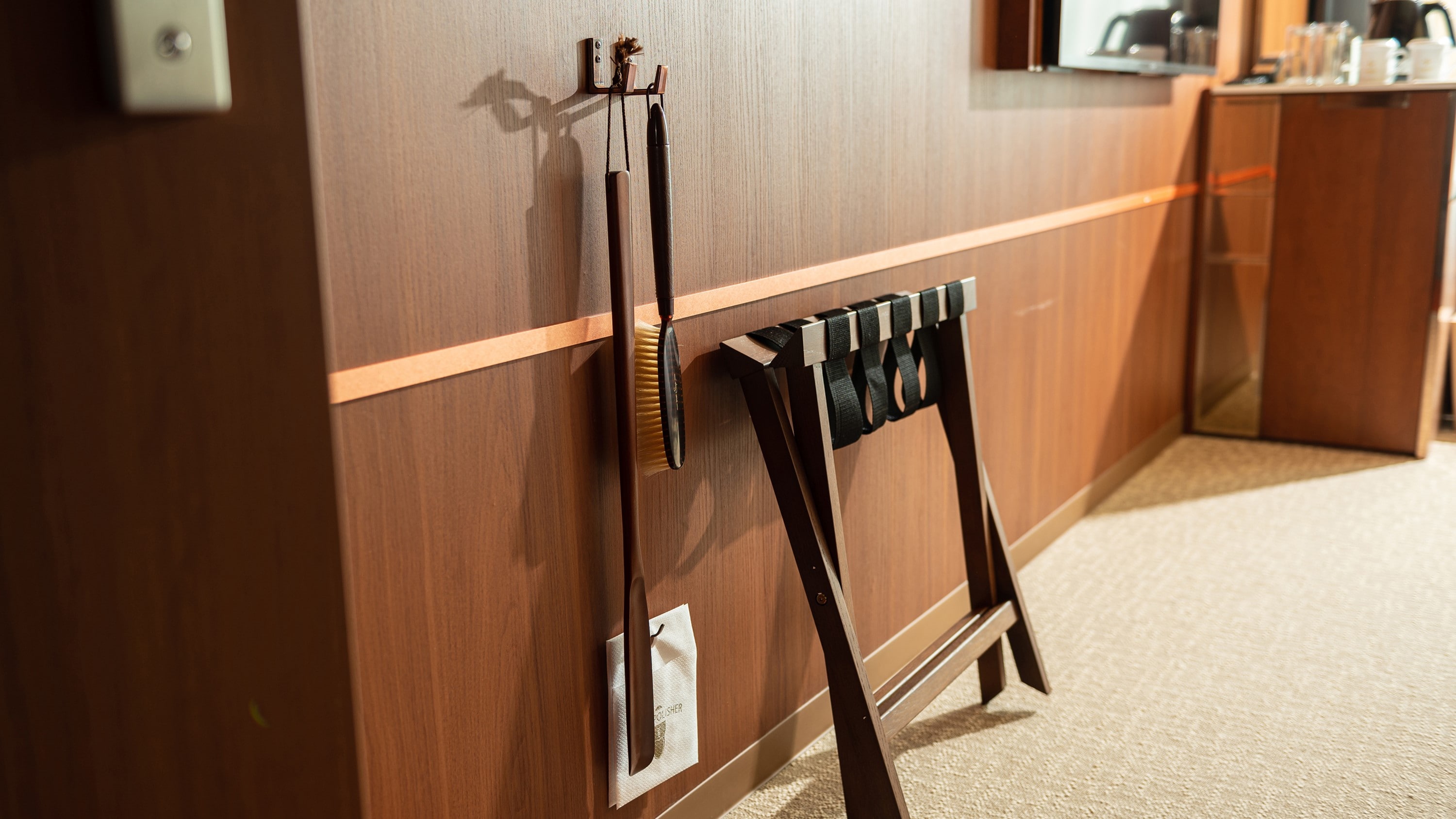 Shoehorn/clothes brush
