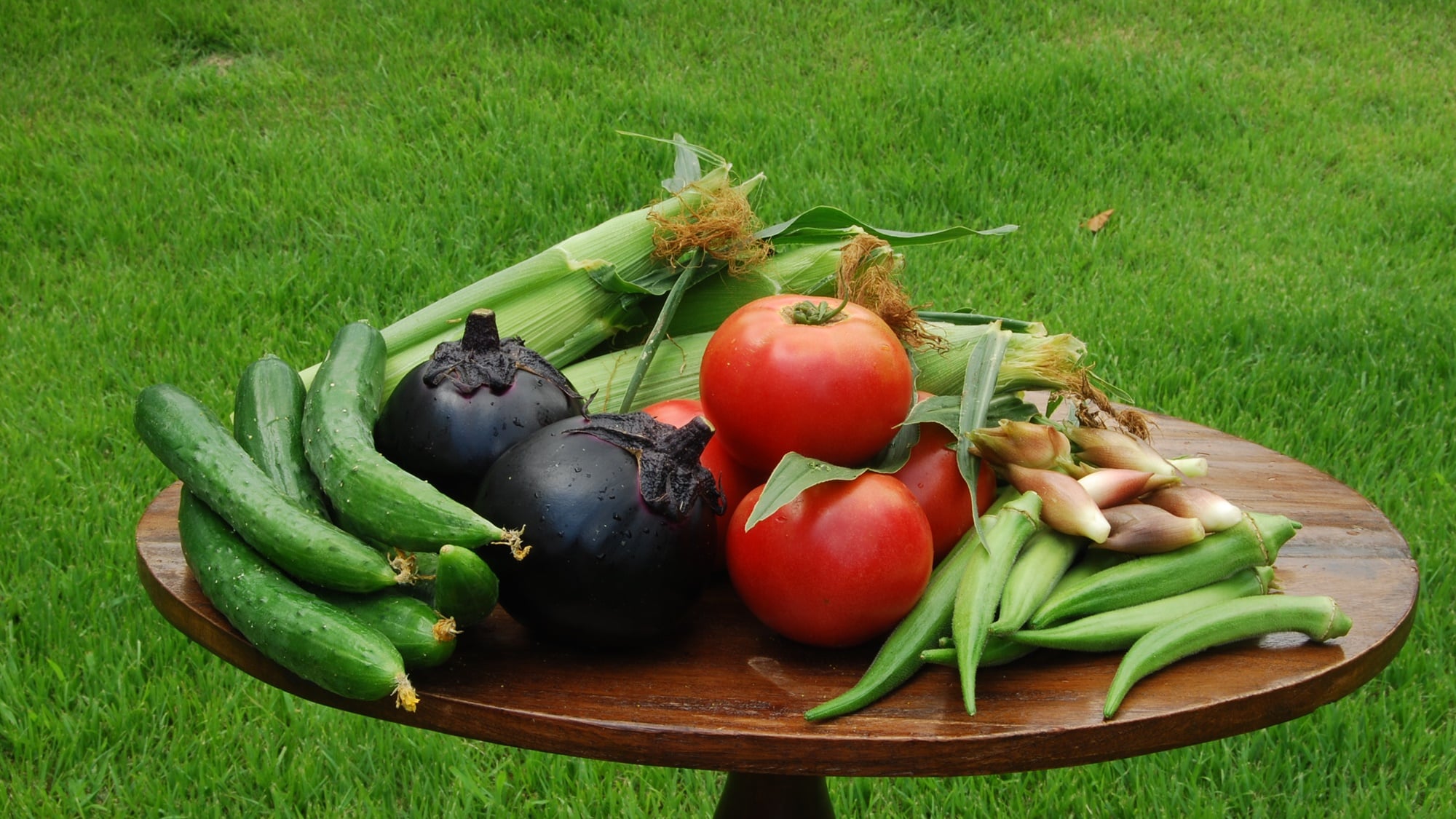 Delicious seasonal vegetables. You can feel the freshness of each season, spring, summer, autumn and winter.