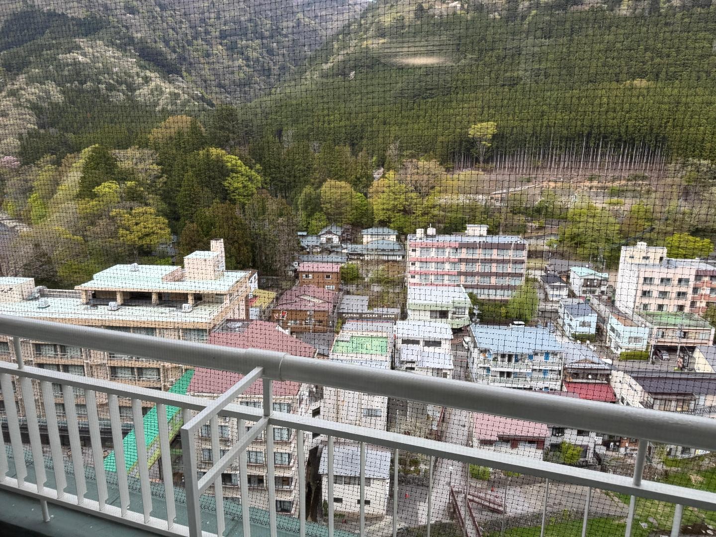 IMG_7605.jpeg