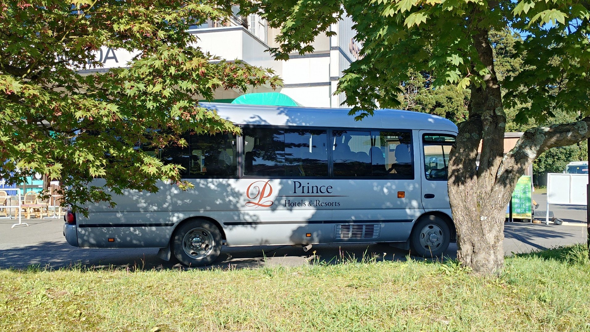 12910.jpg