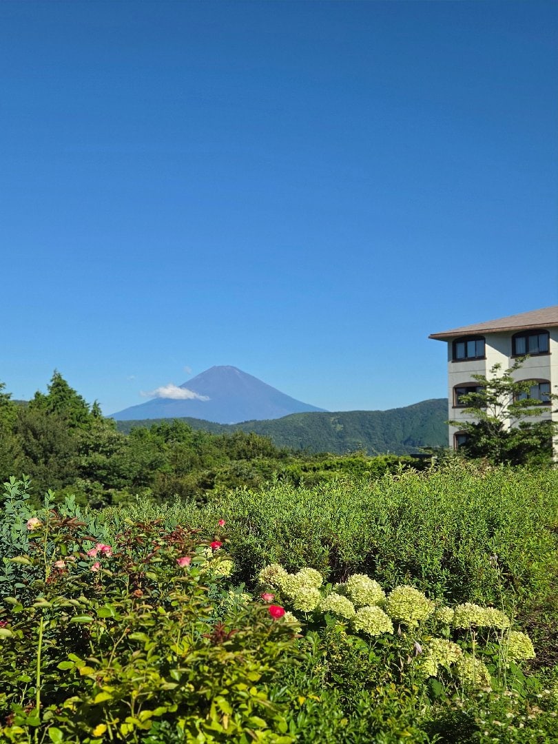 1768.jpg