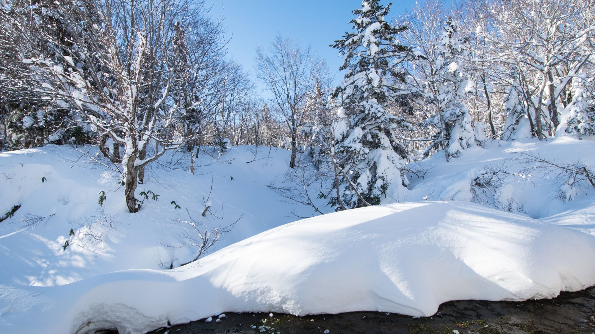 [ภายนอก/ฤดูหนาว]