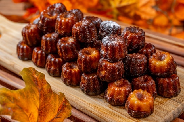 2026 Nasu's Land and Bounty Autumn Buffet