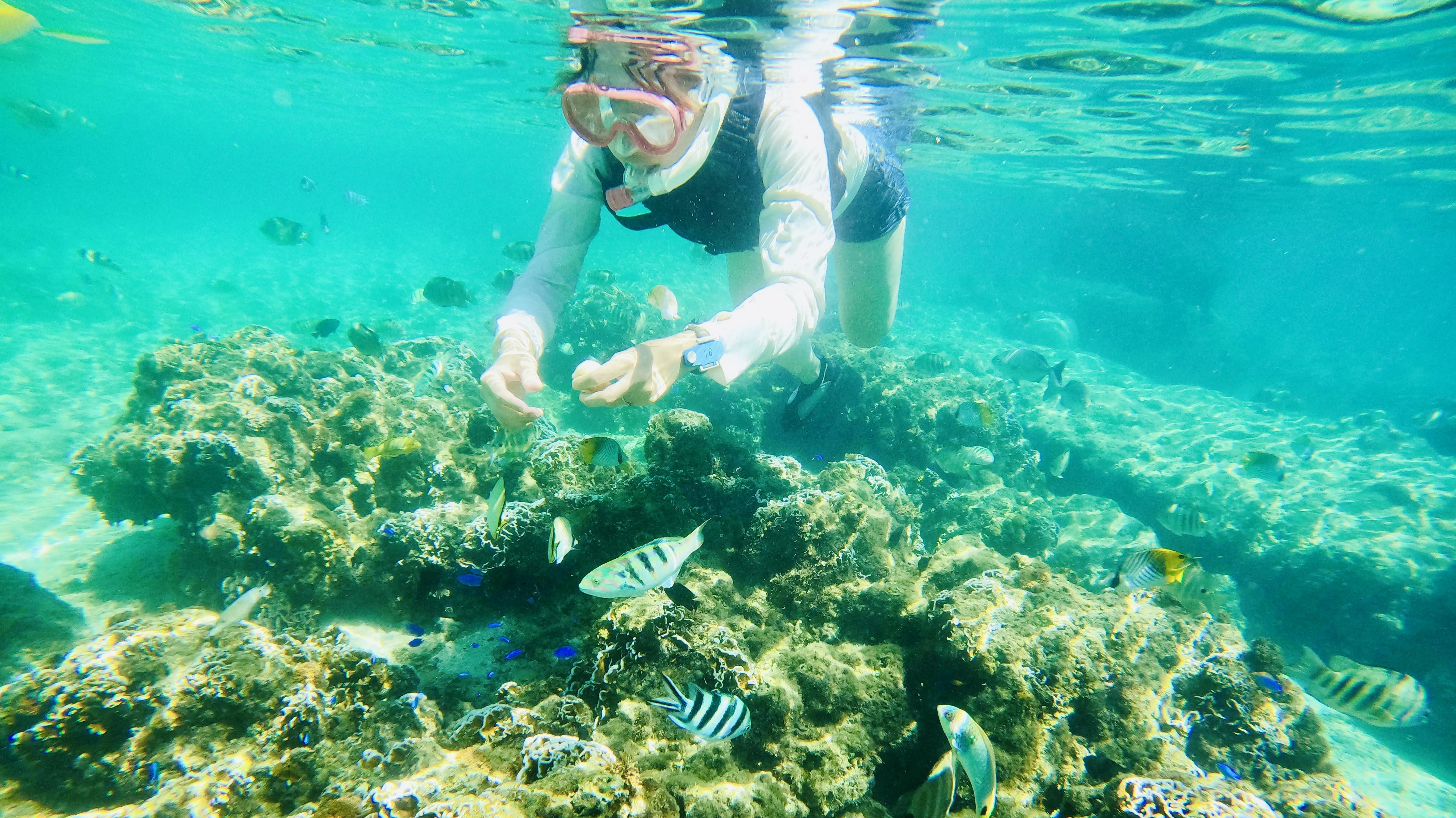 ⑧Marine activities (image)