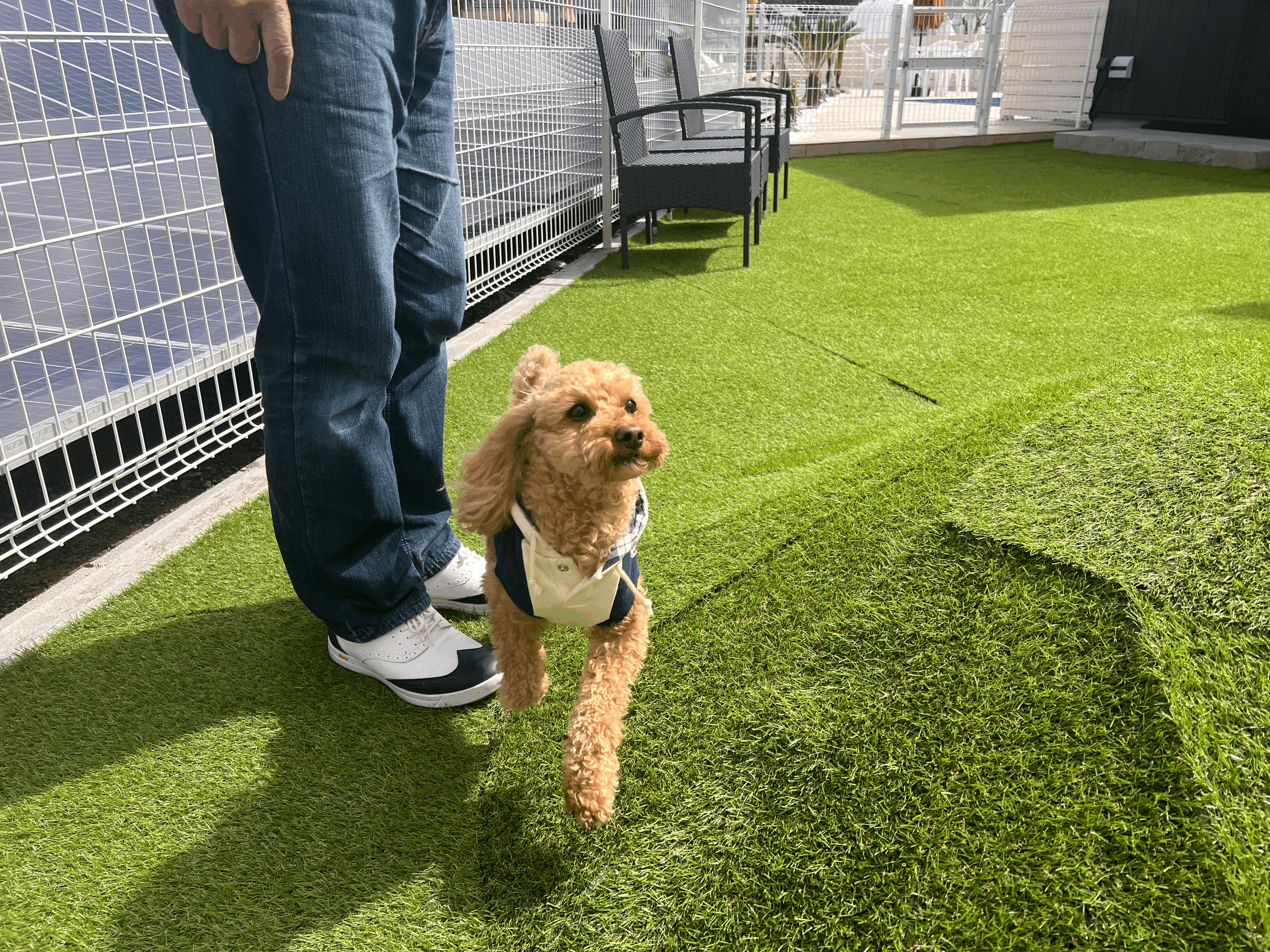 You can also use the dog run!