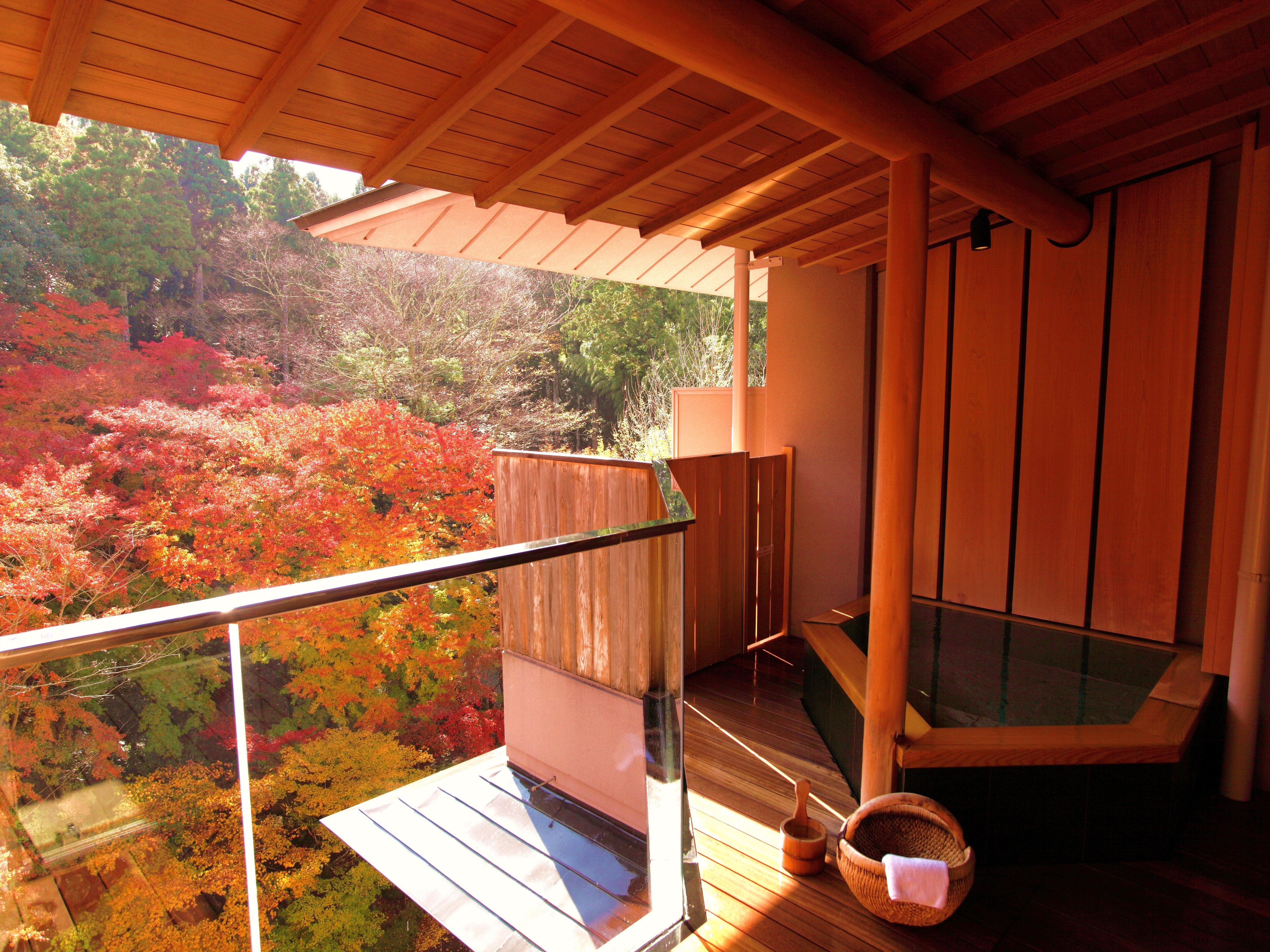 Guest room with open-air bath (image)