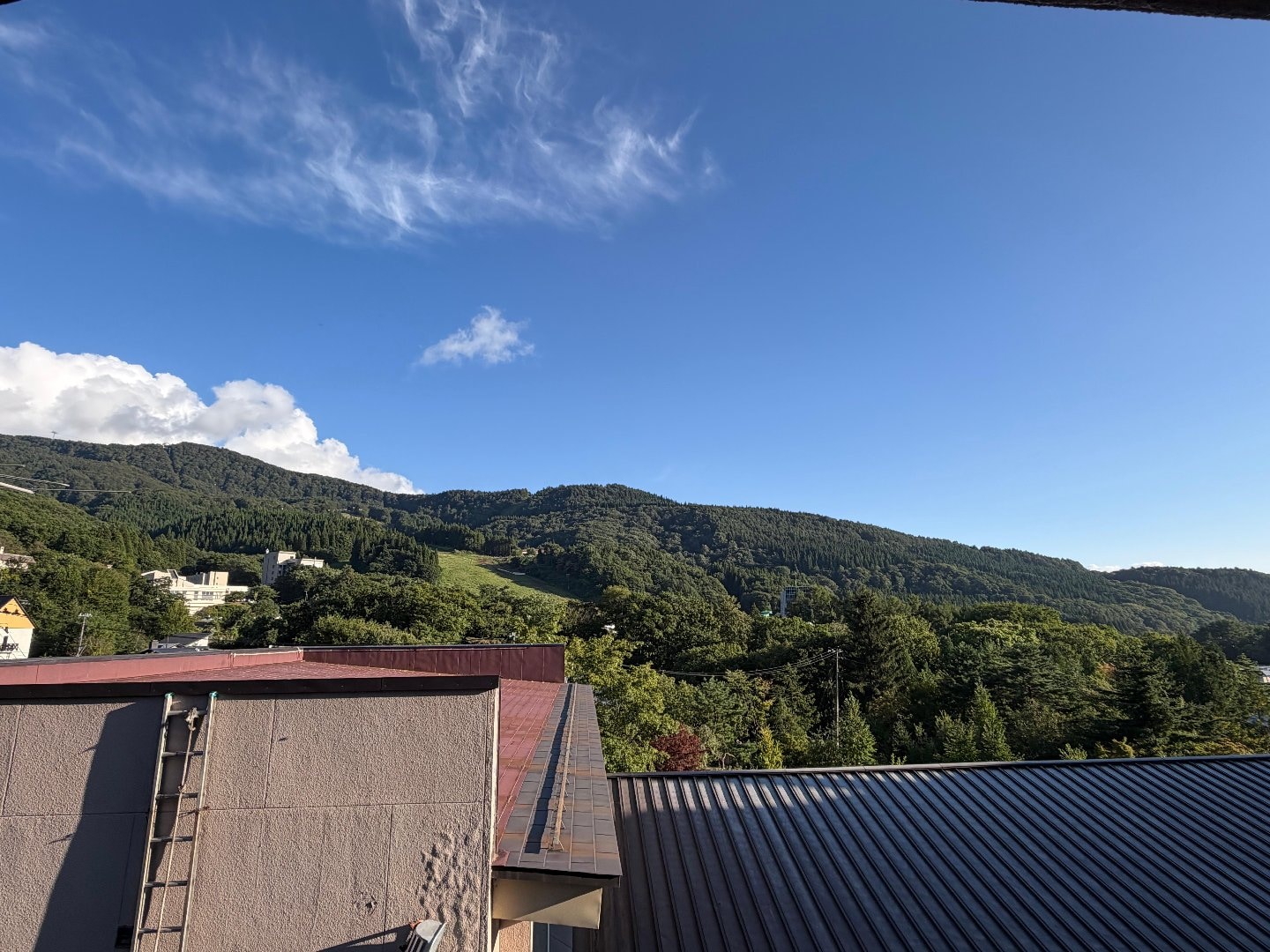IMG_7737.jpeg