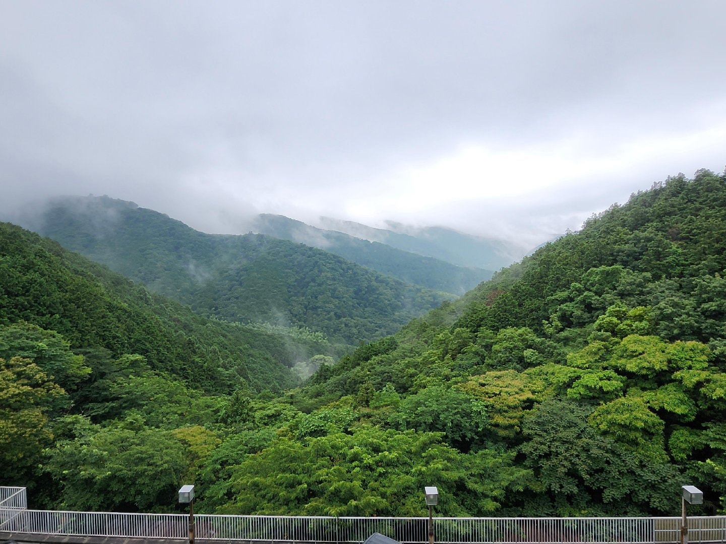 1000018510.jpg