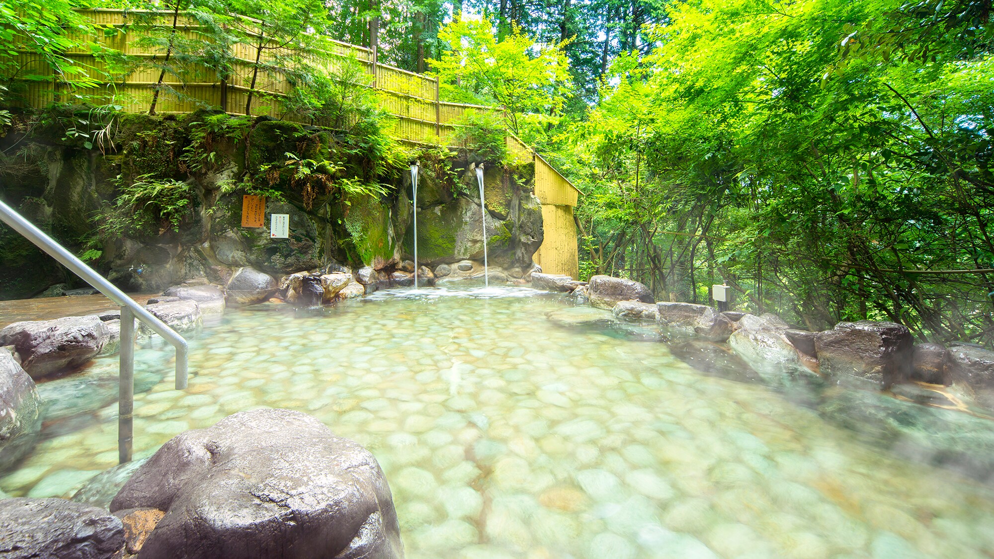 Forest open-air bath