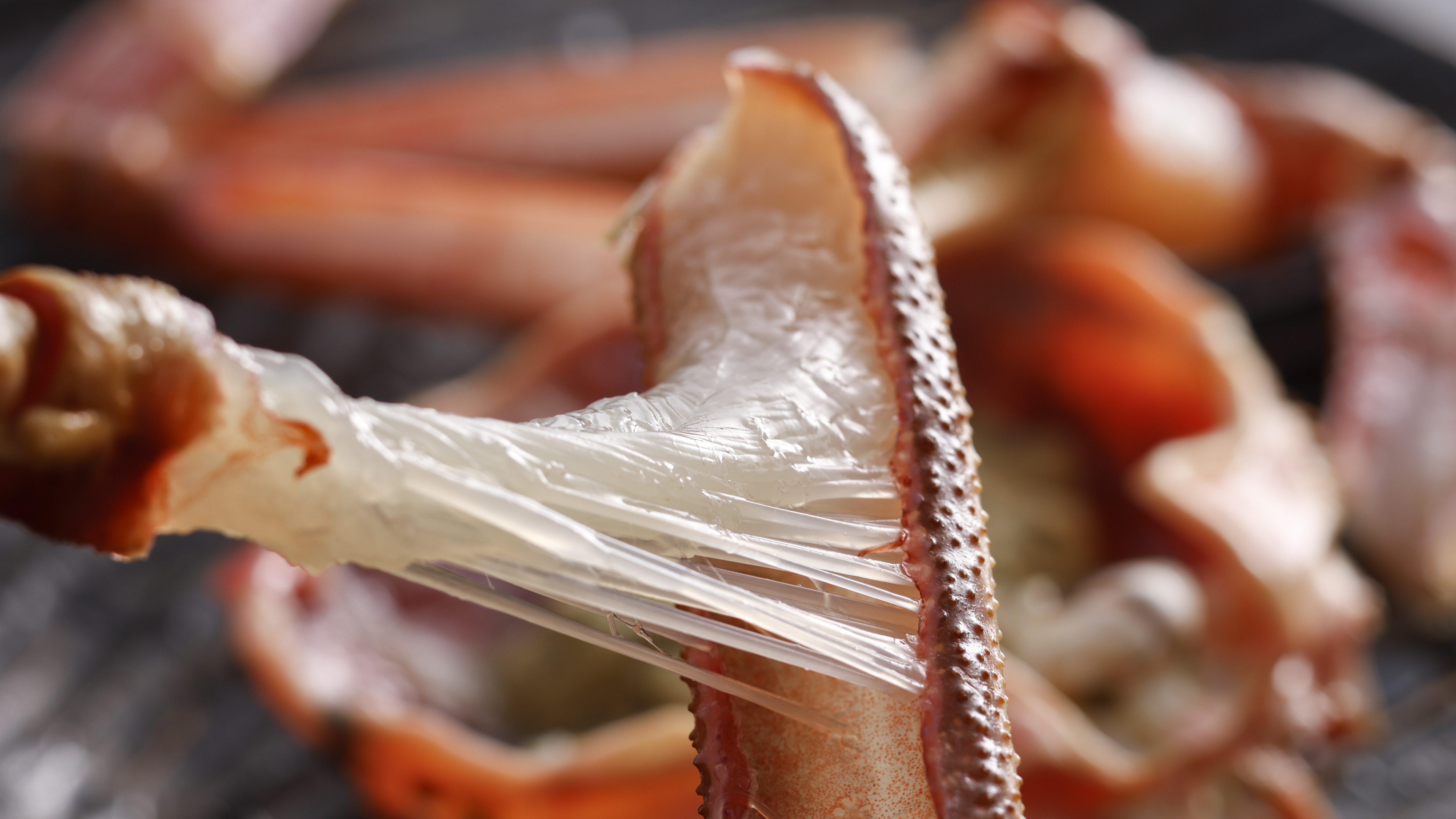 [Winter Cuisine] The crab sashimi made from live Matsuba crab, the king of winter delicacies, has beautiful fibers.