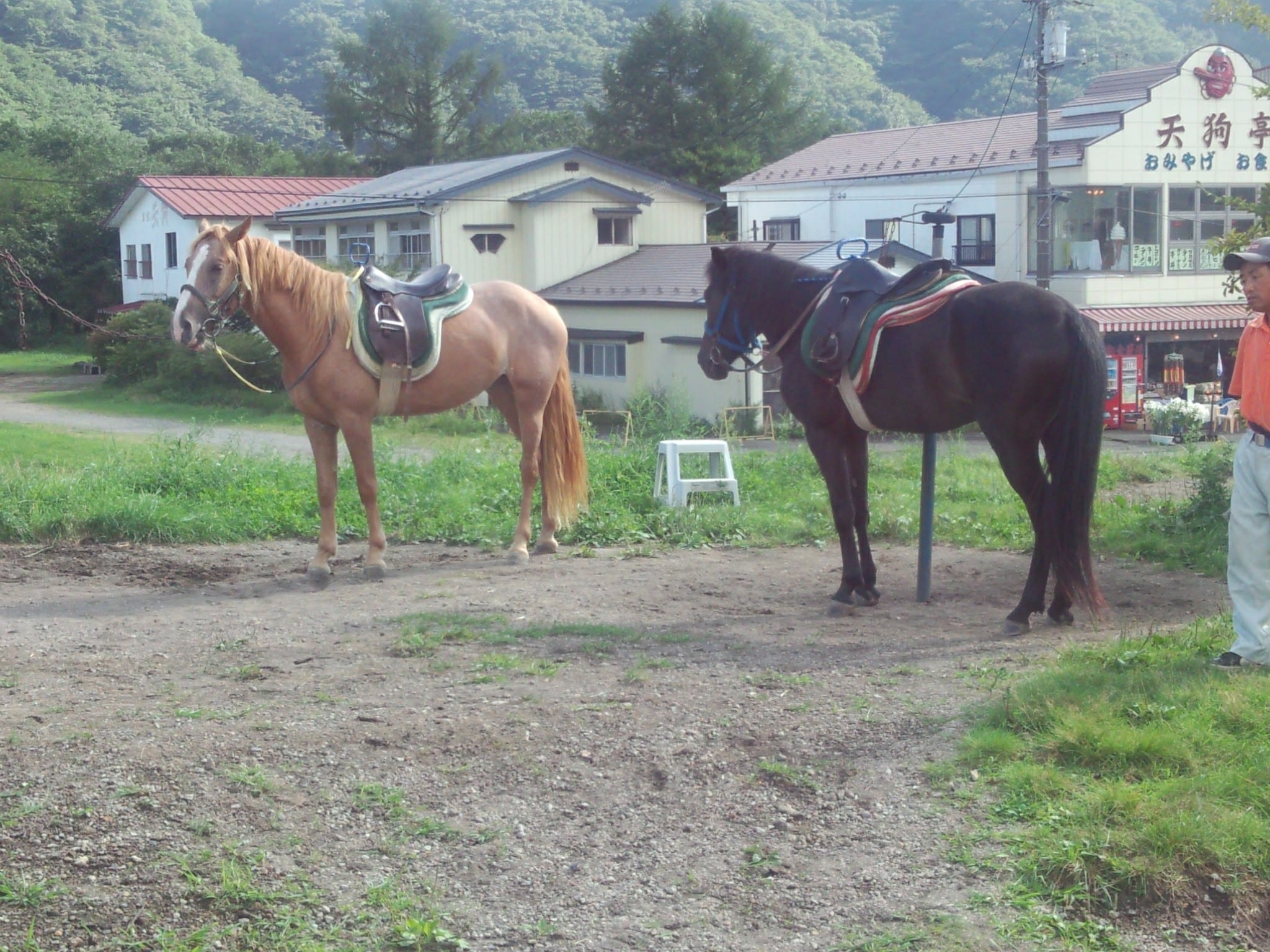 Lake Haruna Horseback Riding