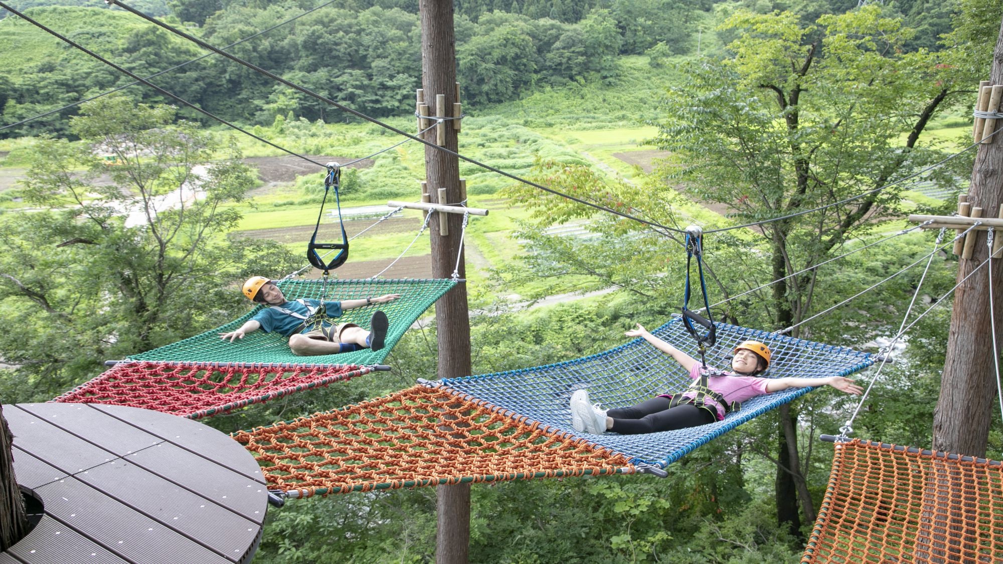 樹木探險 [地點：探險中心]