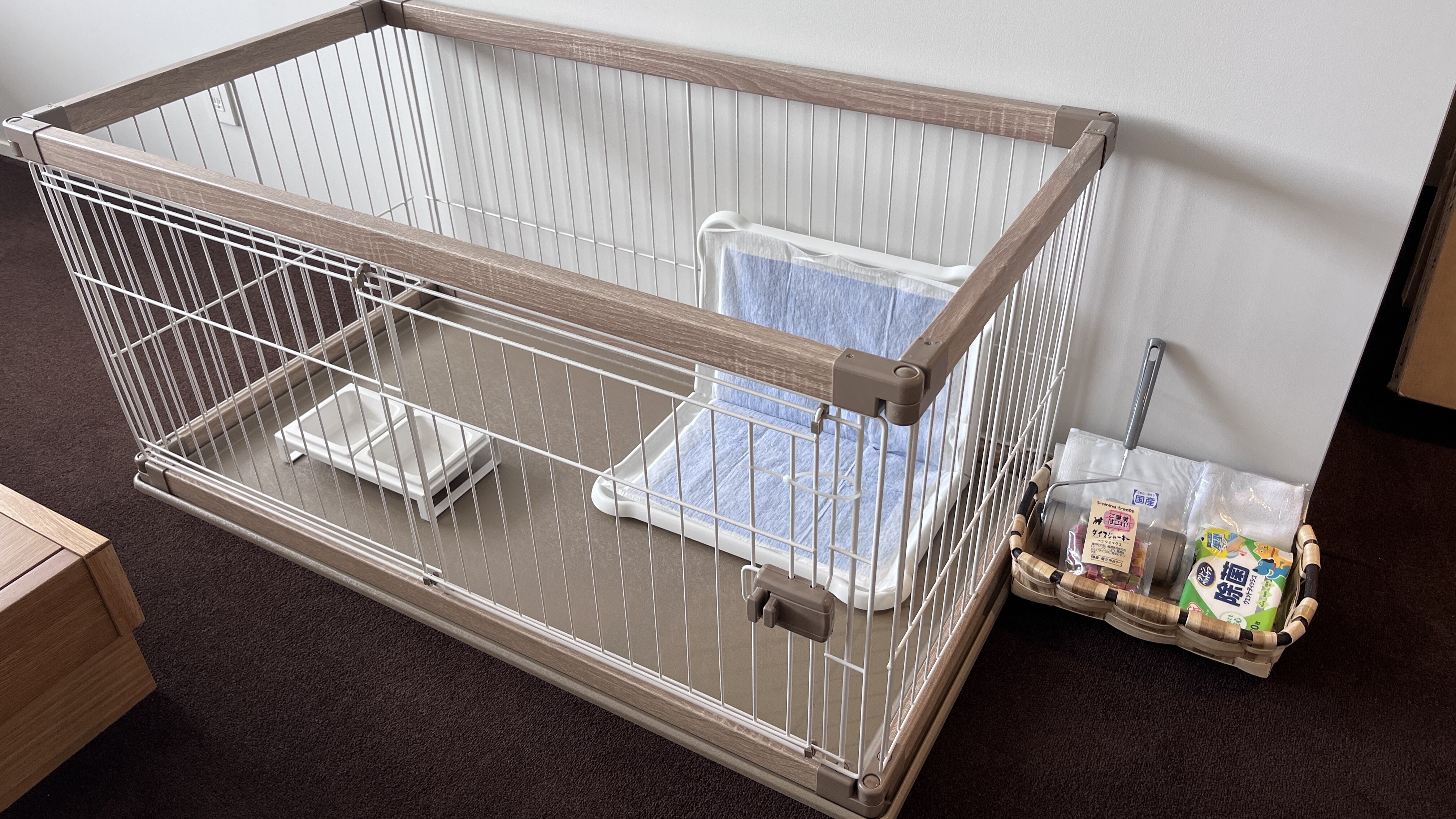 Dog Double Room