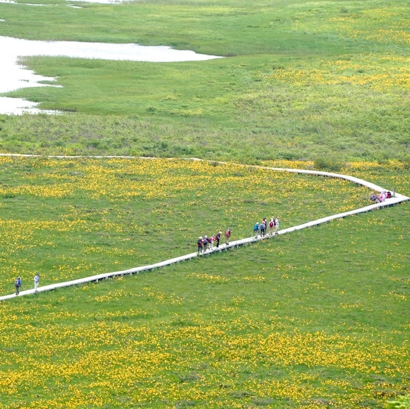 Oguni Swamp