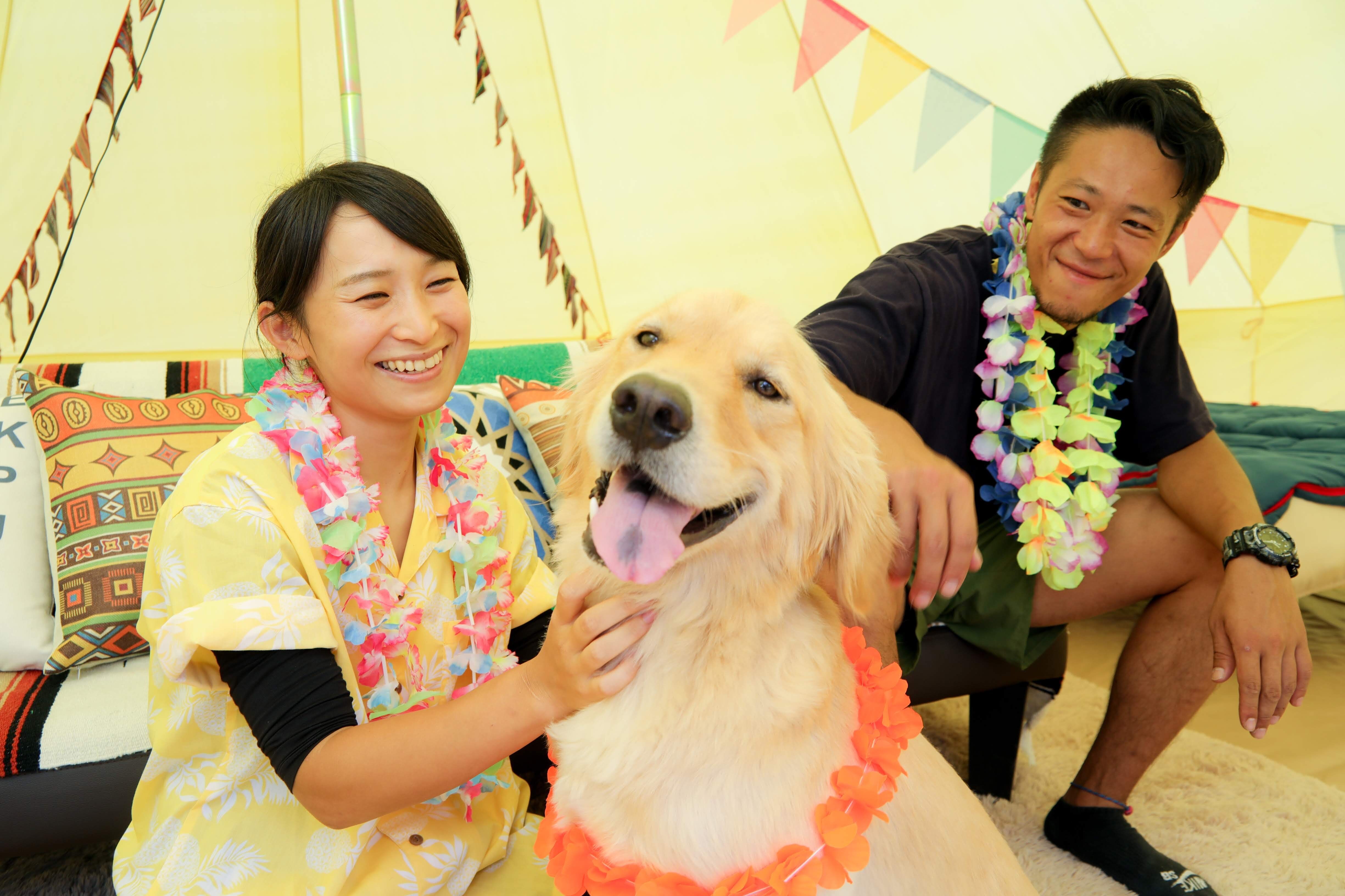 狗