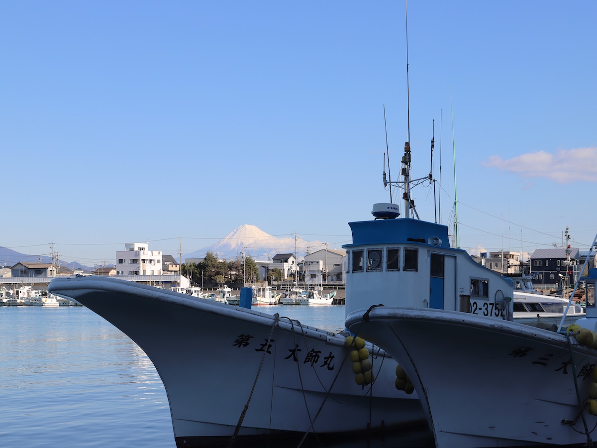 Mt. Fuji seen from Mochimune fishing port