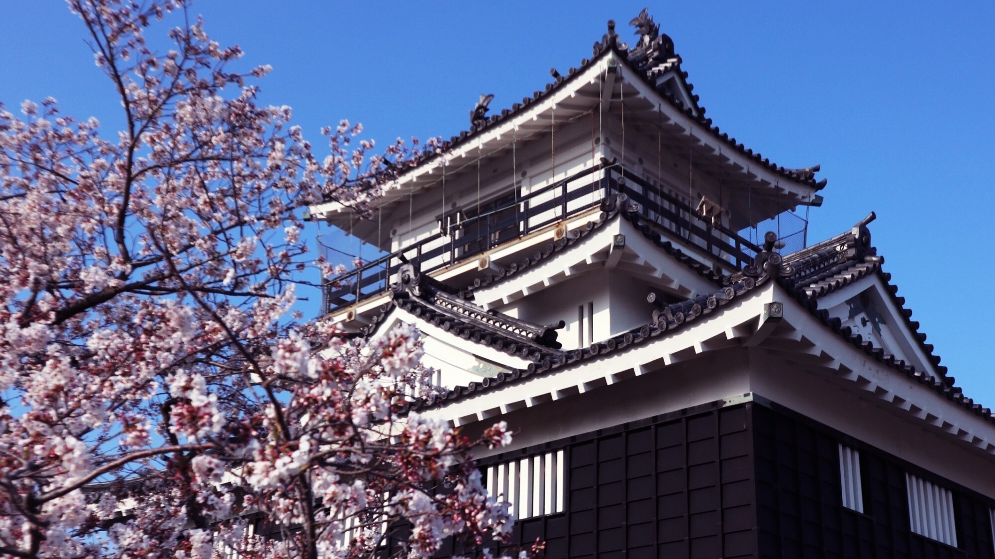 Hamamatsu Castle (2)