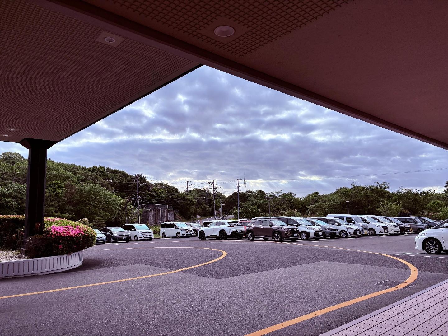 D4049D0B-43EF-4333-8A51-072FA2BFC20E.jpeg