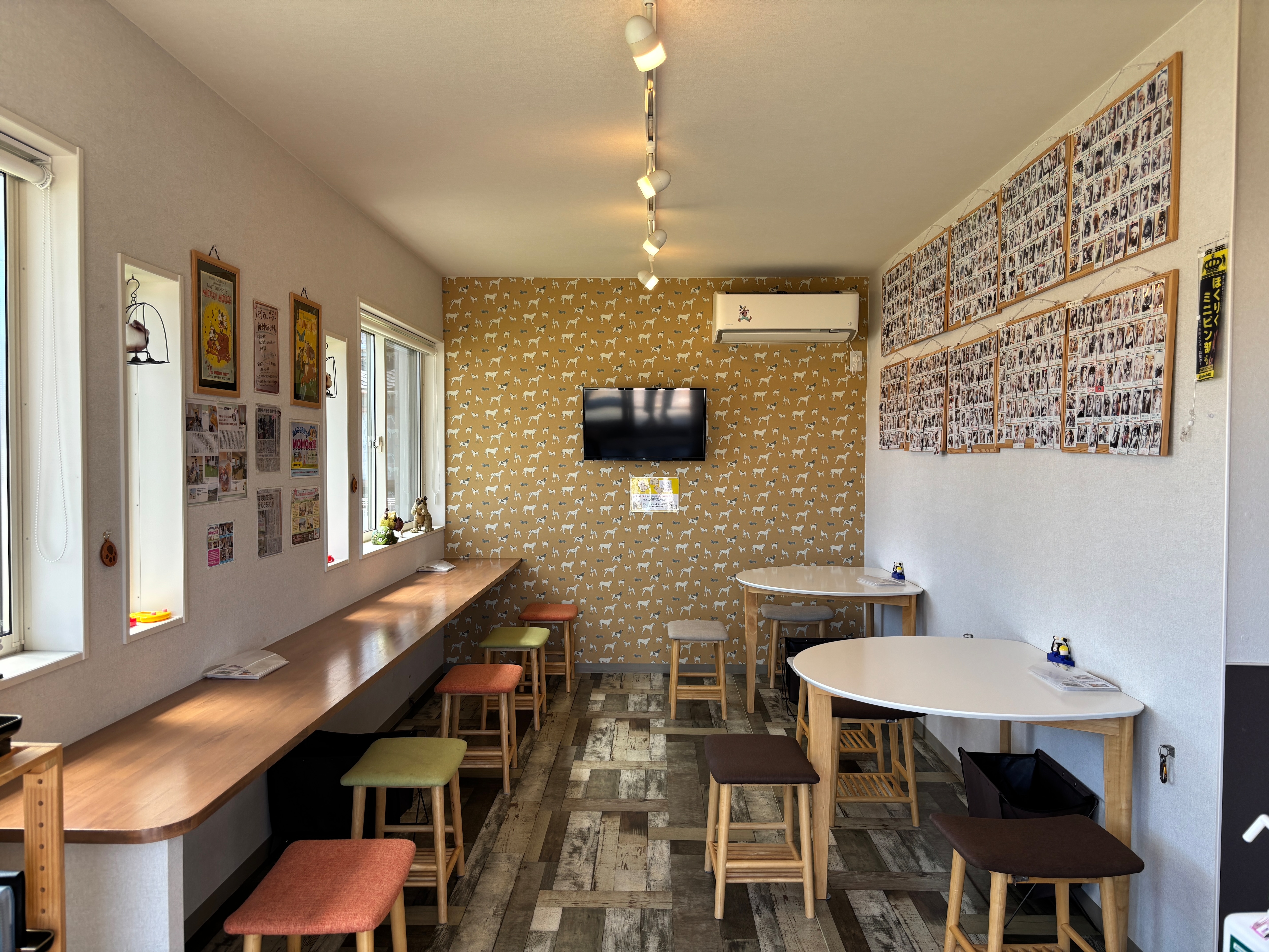 允許攜帶寵物狗的咖啡館 1