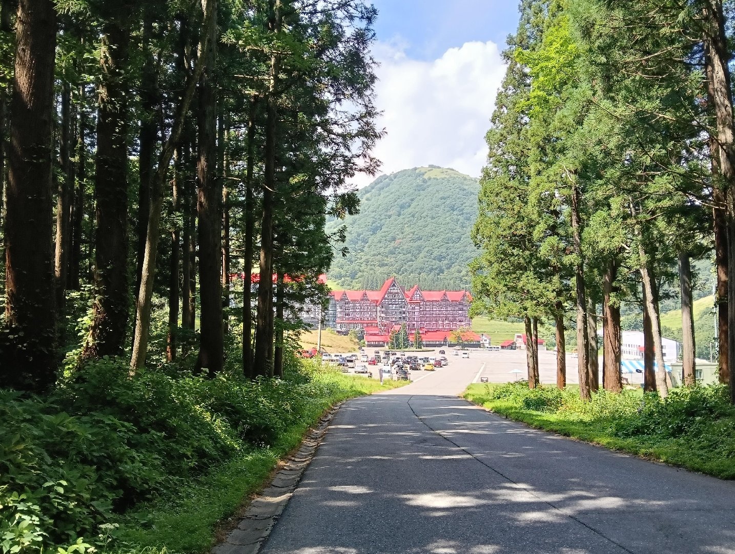活動歴および当時の関連ビジュアル記録