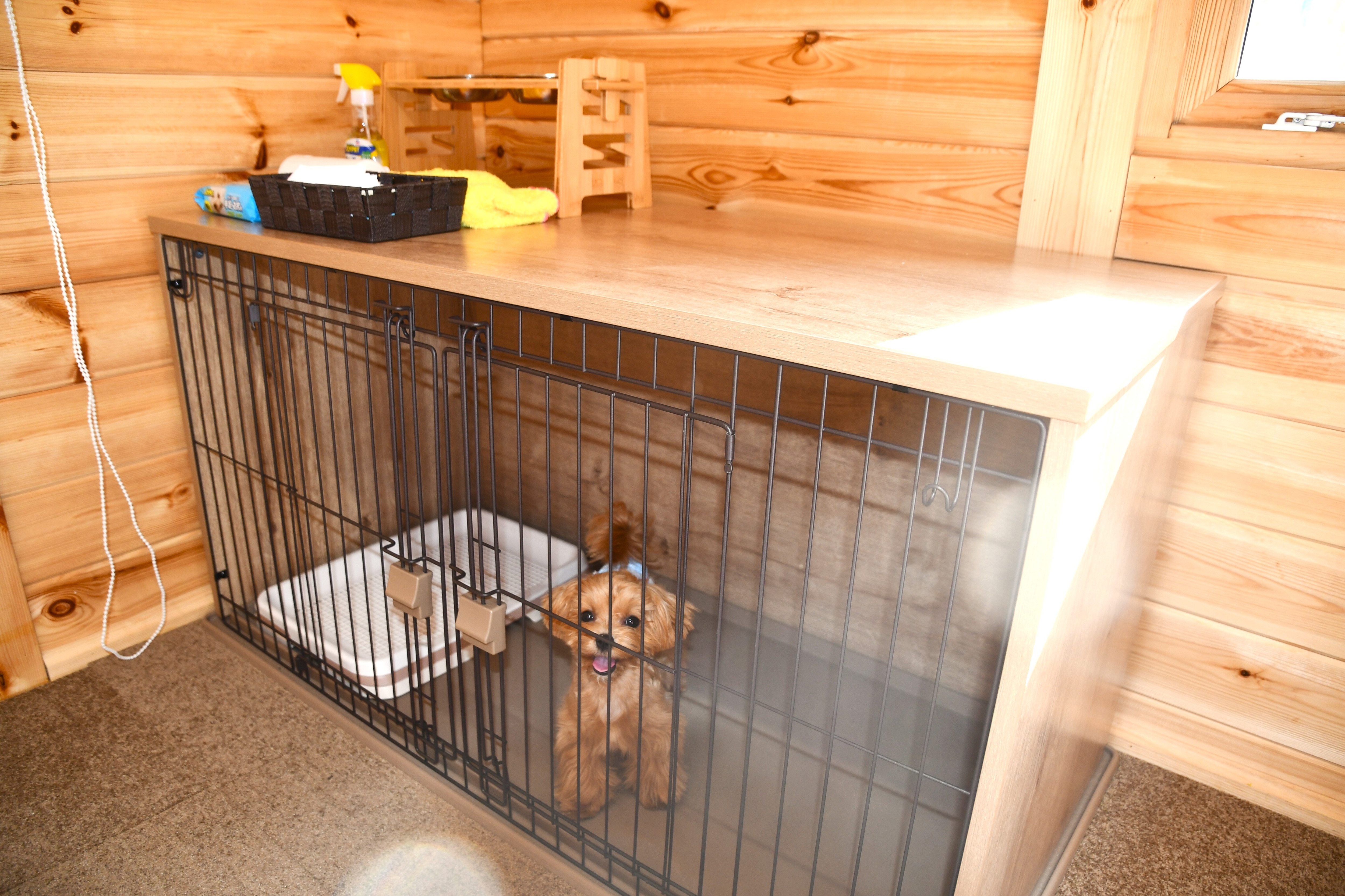 [Dog Cabin] In-room cage