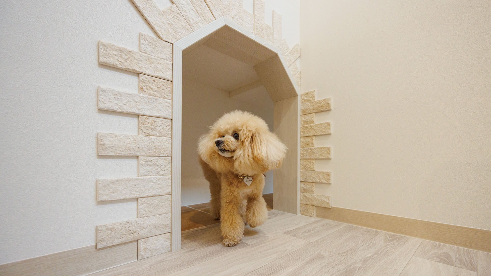 Pet Tunnel
