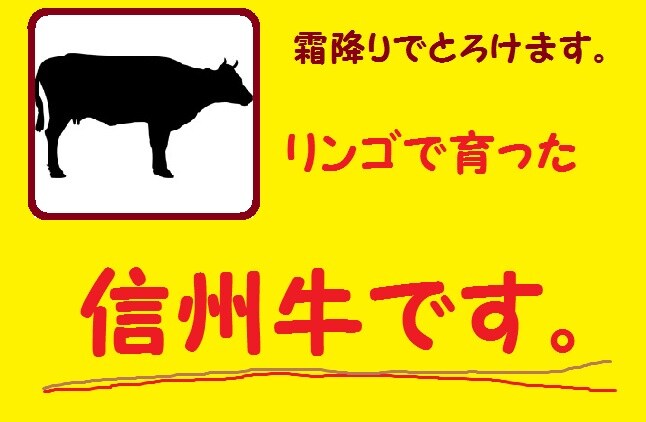 Logo Shinshu