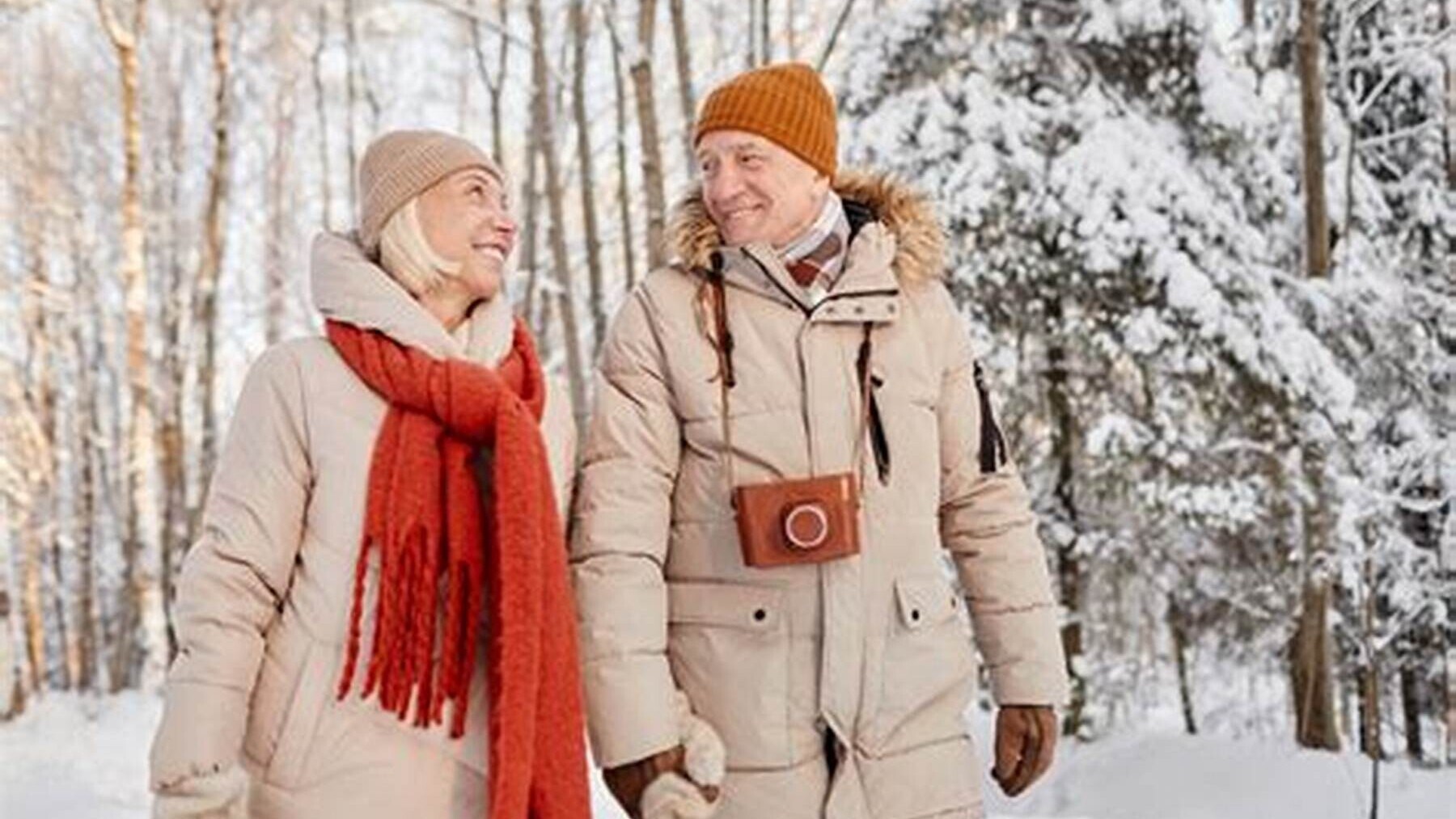 Winter Image