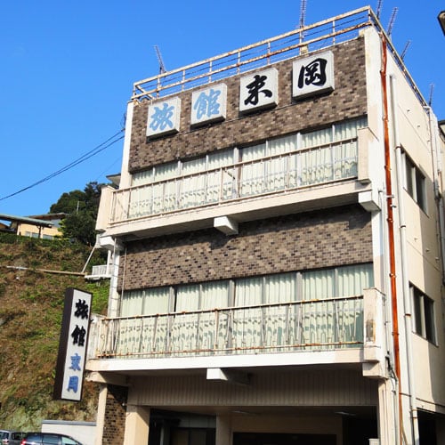 Appearance image