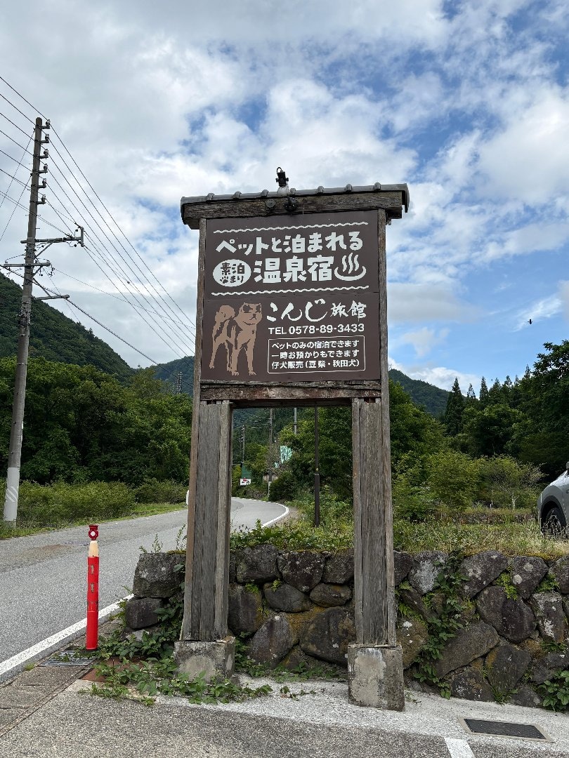 IMG_2333.jpeg