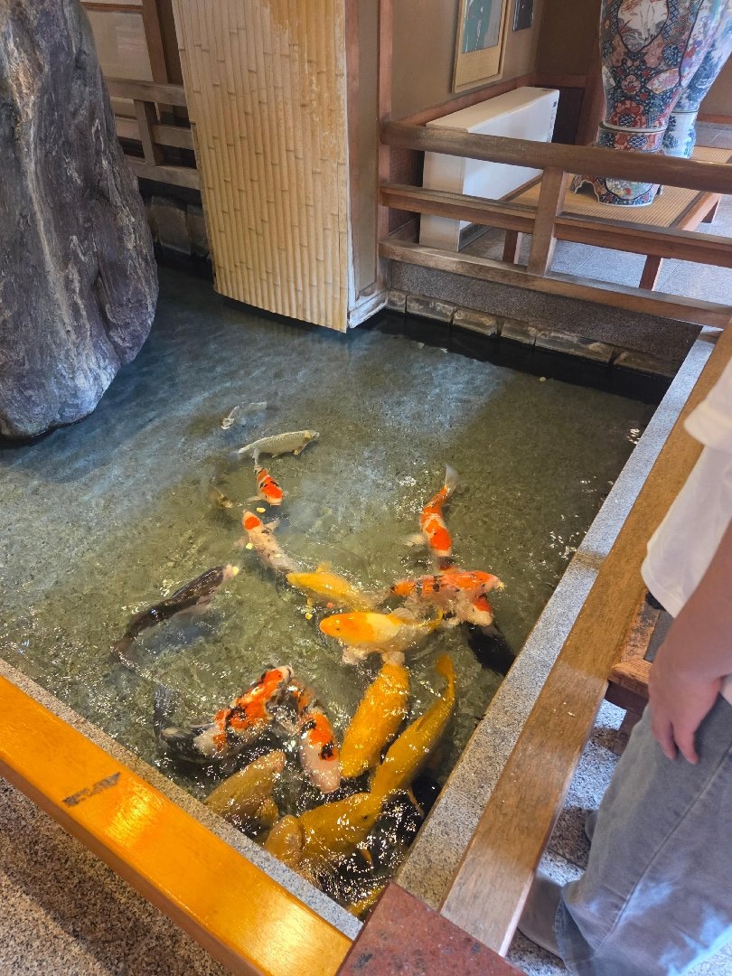 5627.jpg