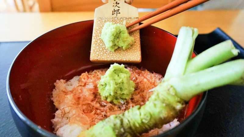 와사비 덮밥
