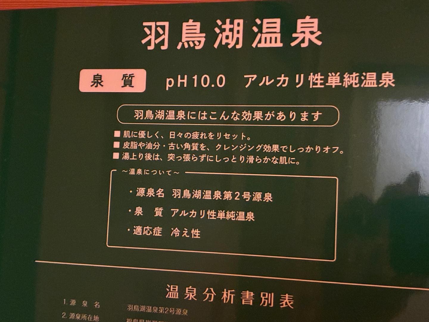 IMG_9991.jpeg