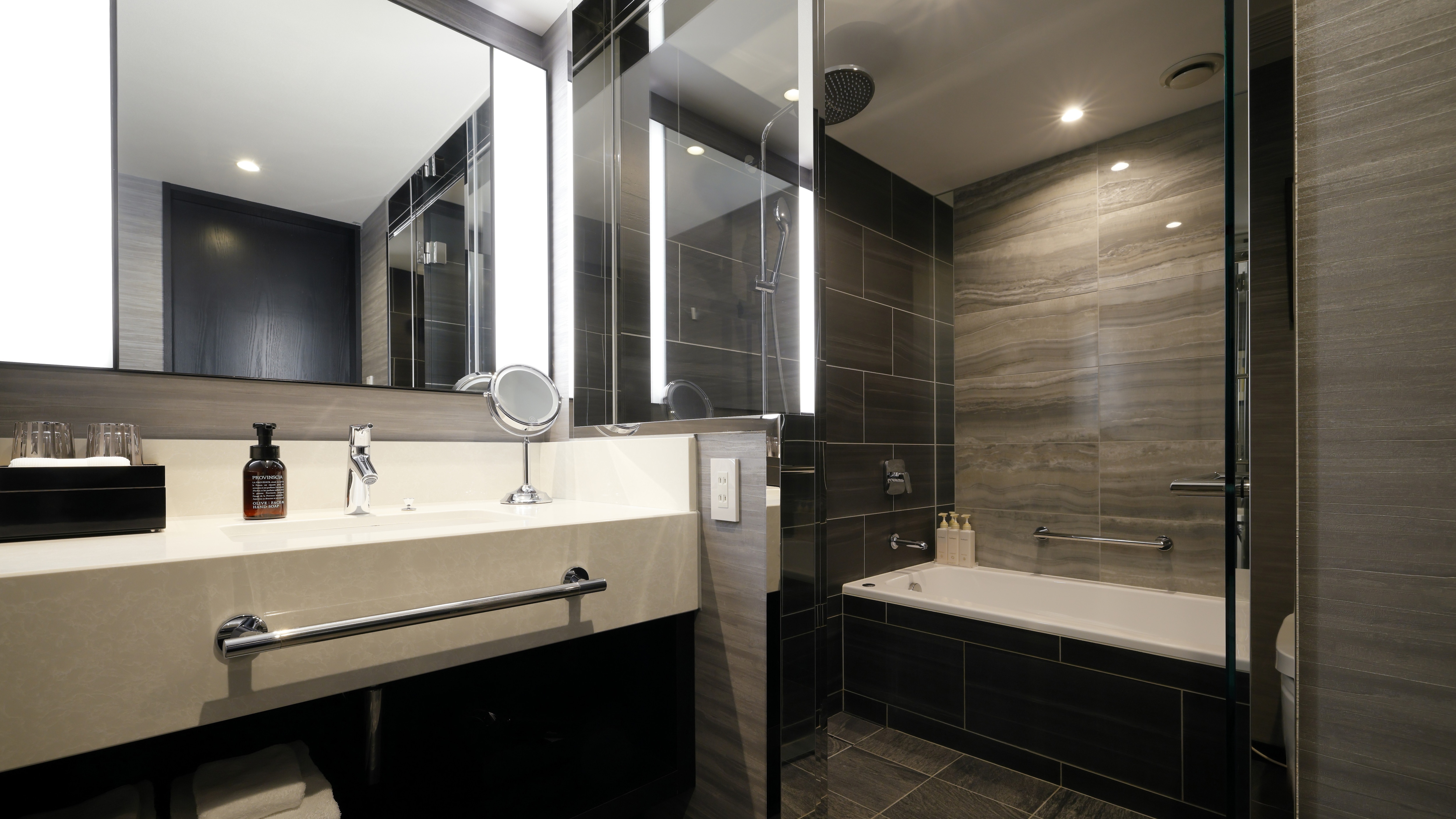 Bathroom (example of a guest room)