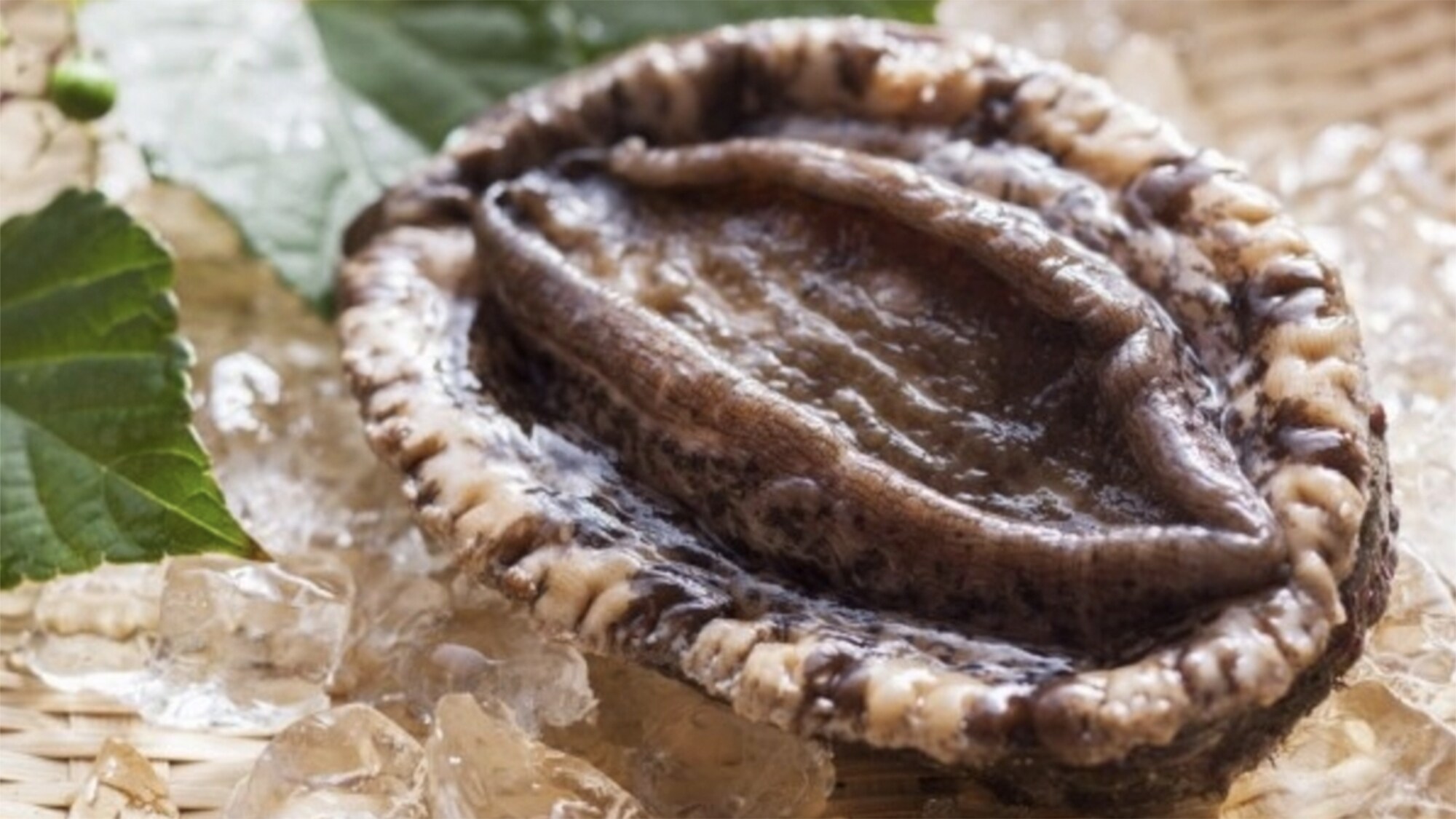 [Dinner all year round] The jewel of the sea, the deliciously flavored abalone [One example]