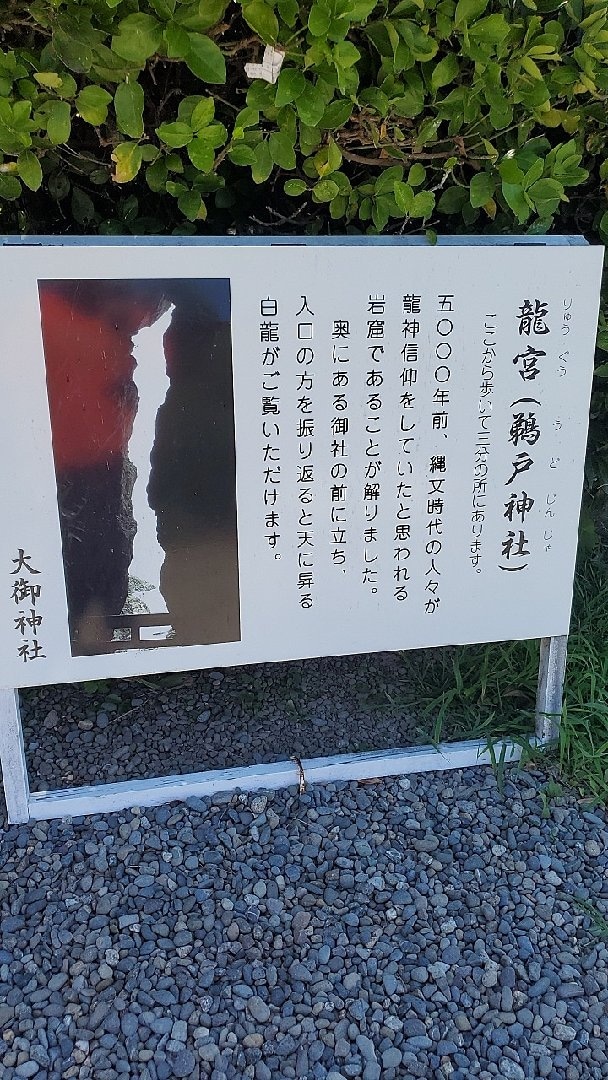 1786497186097.jpg
