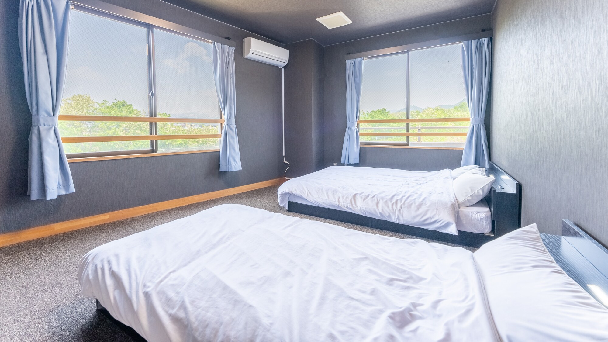 [Non-smoking] Special room
