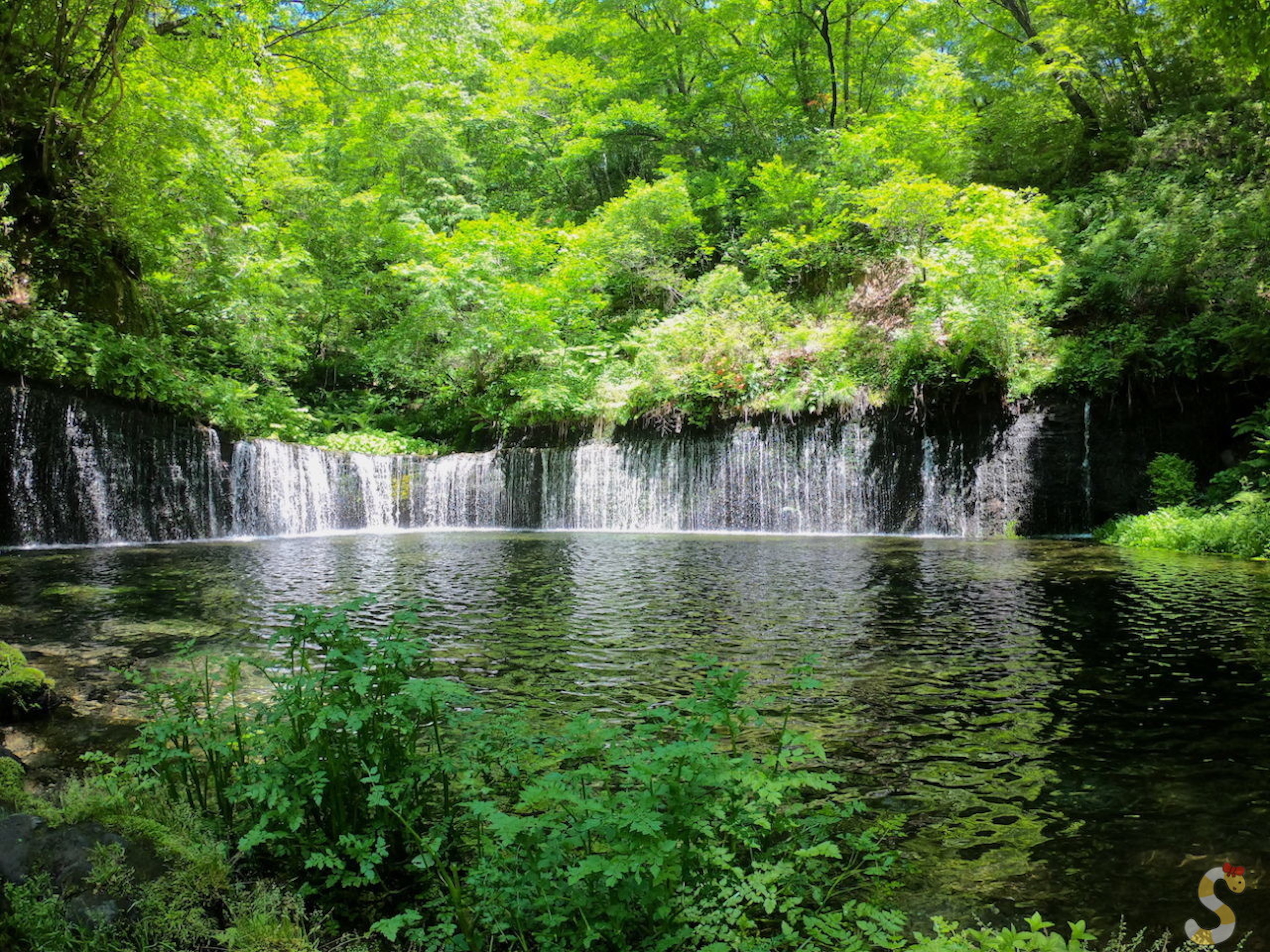 Shiraito Falls