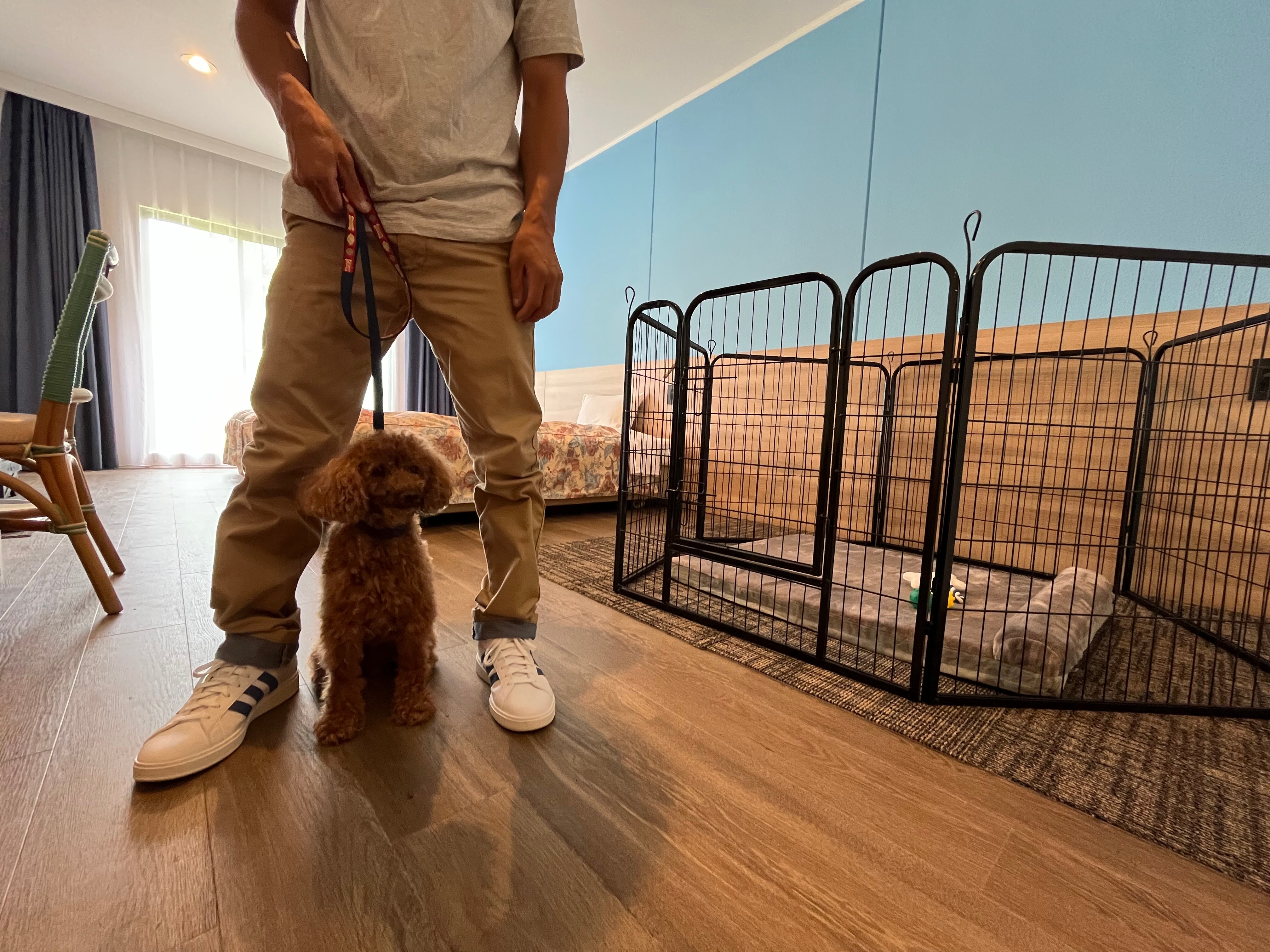 Dog Room
